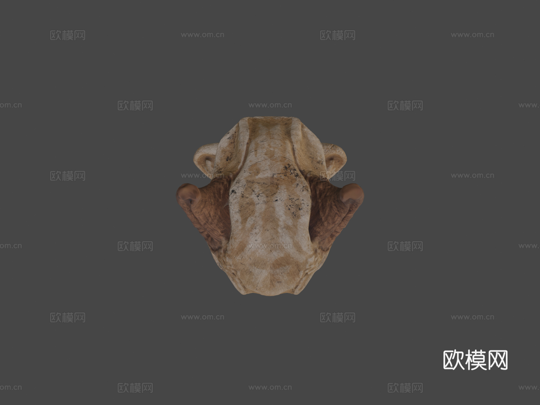 骨寒犬3d模型下载（渲染图6）