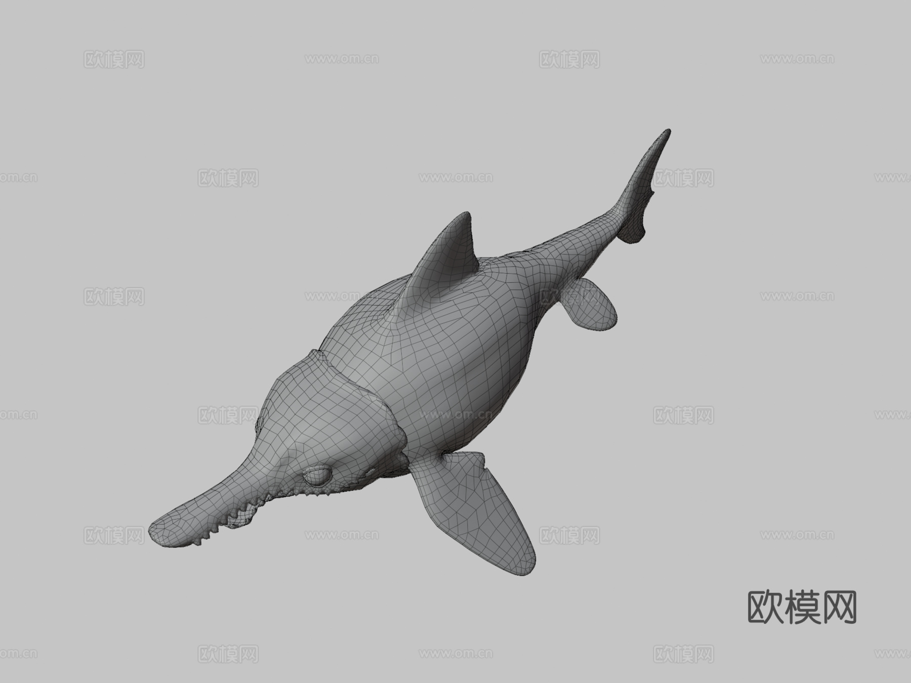 海豚鱼龙回声3d模型3d模型下载（渲染图3）