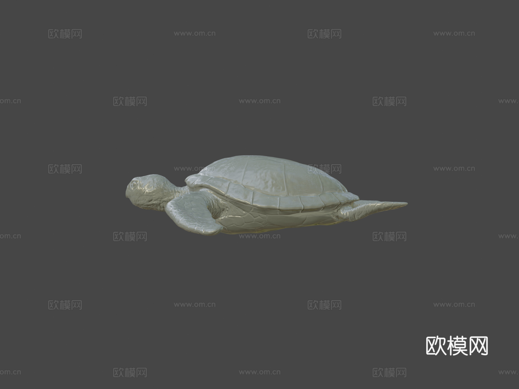 海龟3d模型下载（渲染图5）