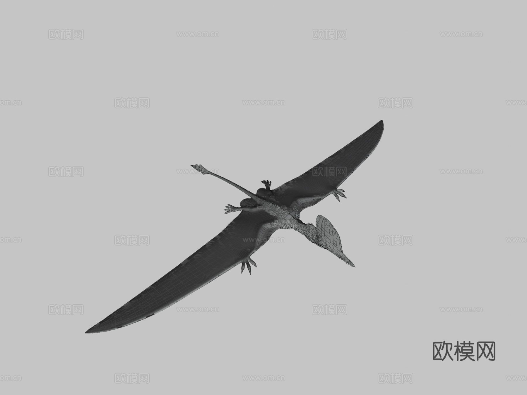 达尔文翼龙3d模型下载（渲染图3）