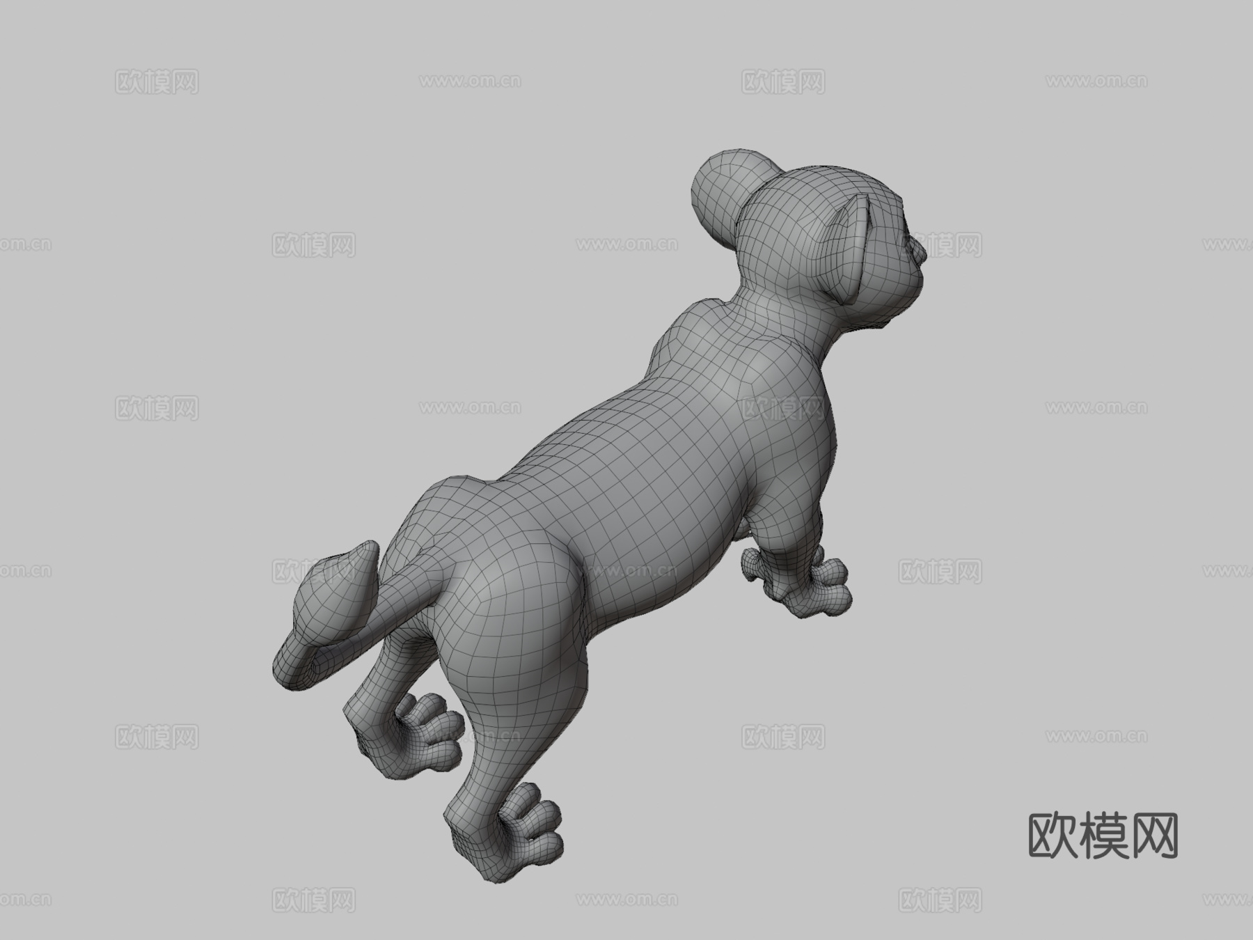 幼狮琪拉3d模型下载（渲染图3）