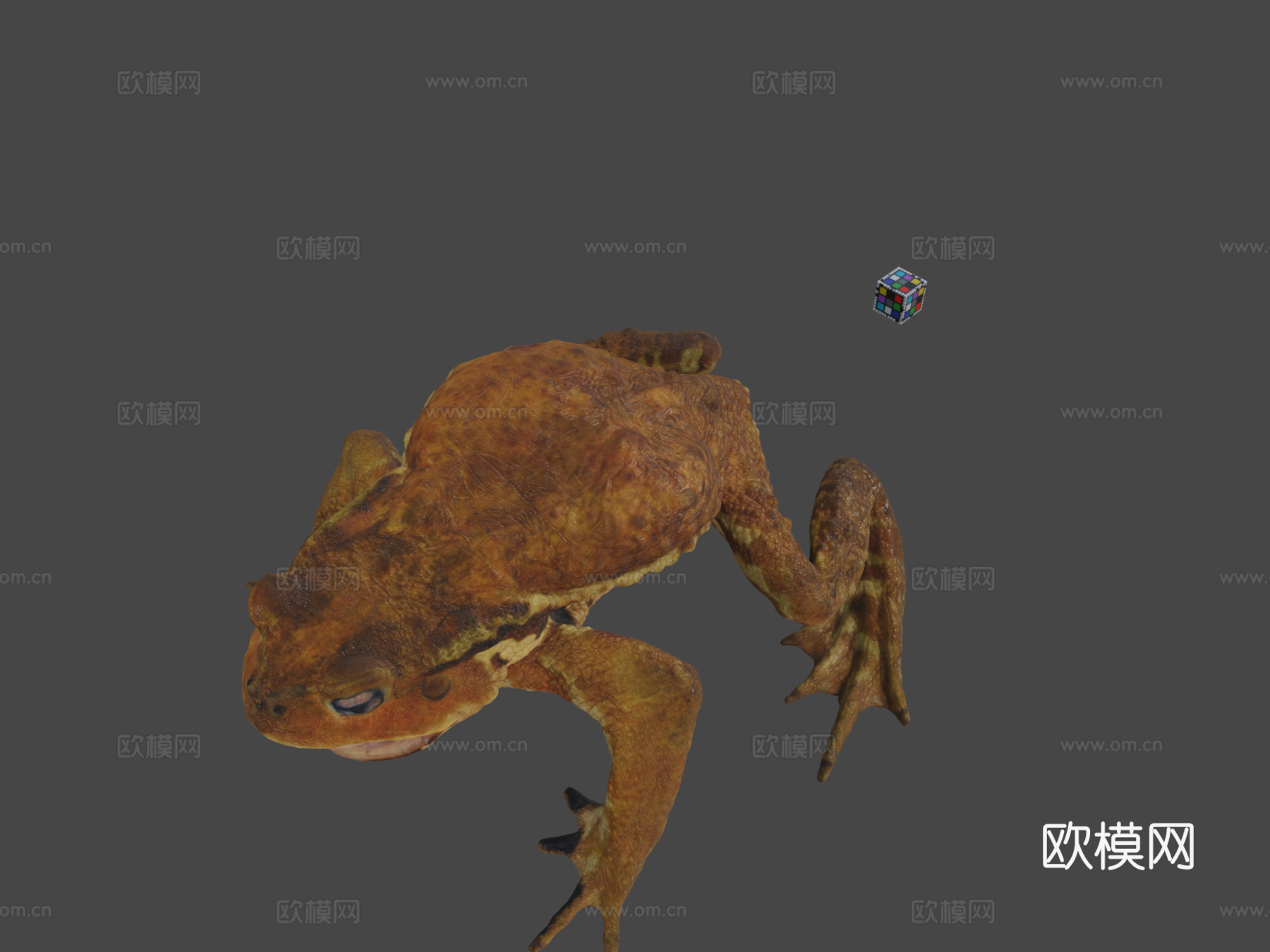 CC0日本蟾蜍3d模型下载（渲染图1）