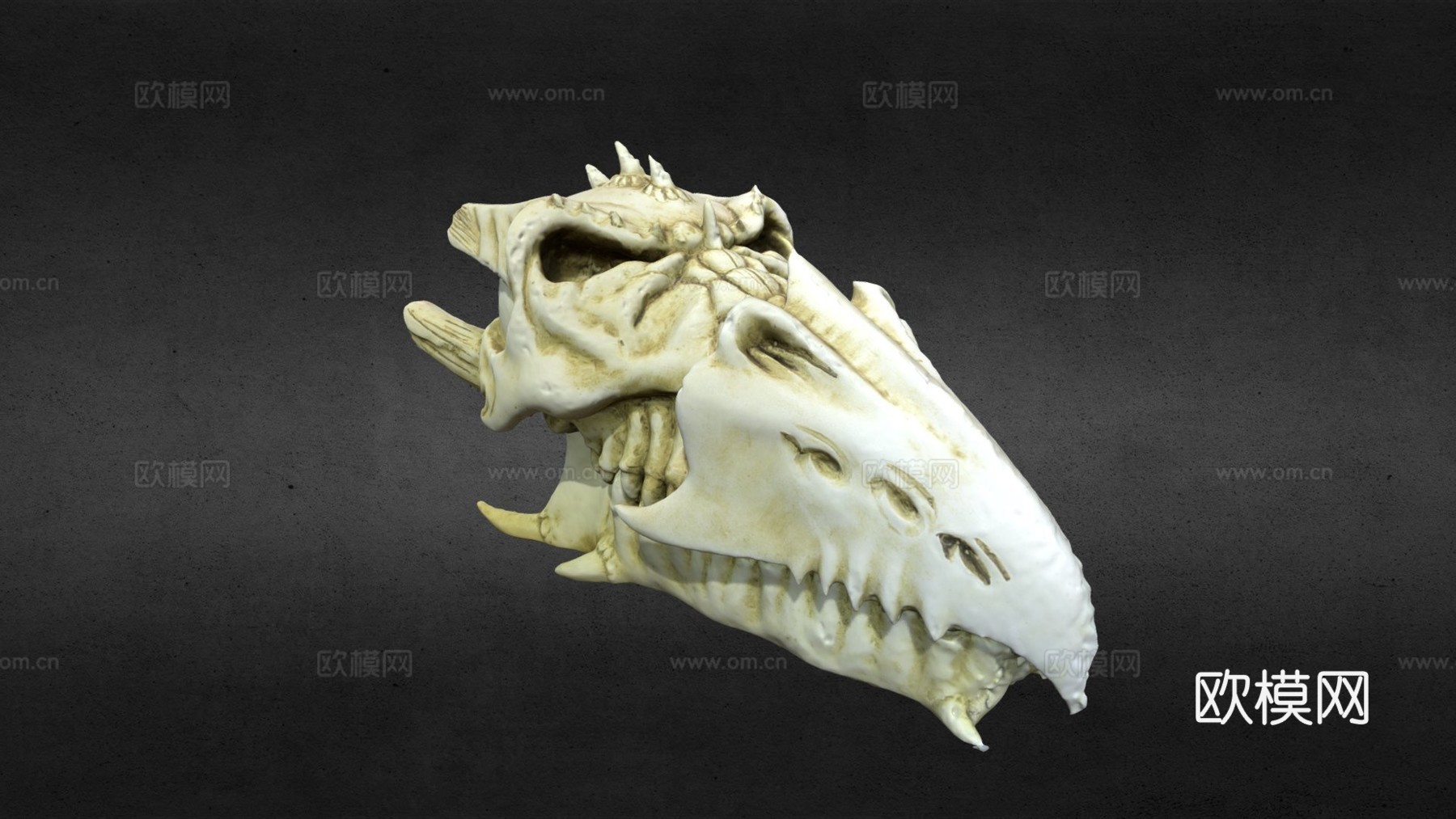 龙颅骨高分辨率3d模型