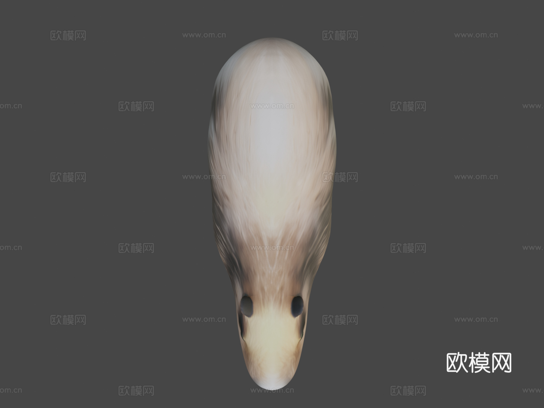 水豚3d模型下载（渲染图5）