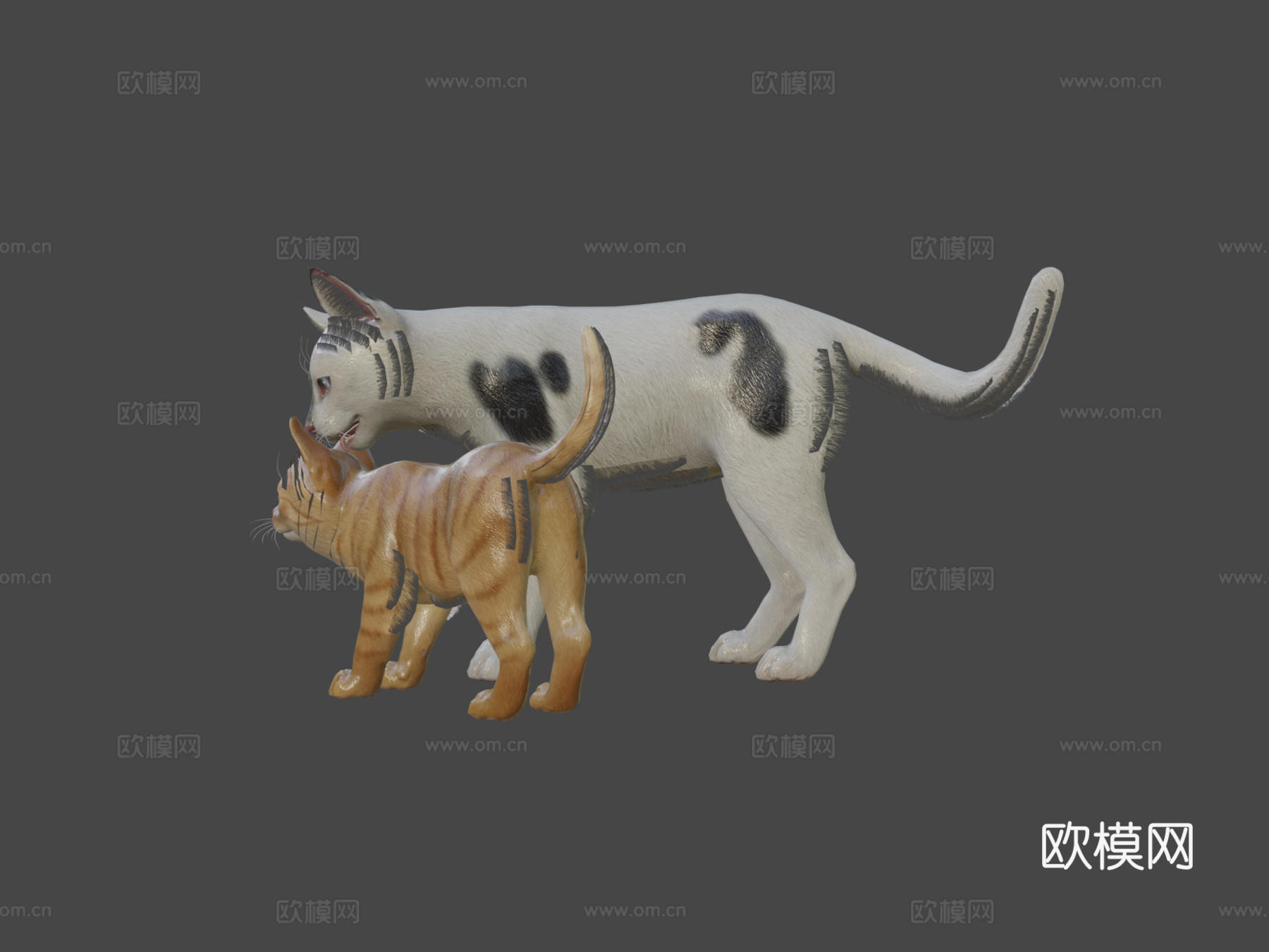 猫科家族3d模型下载（渲染图6）