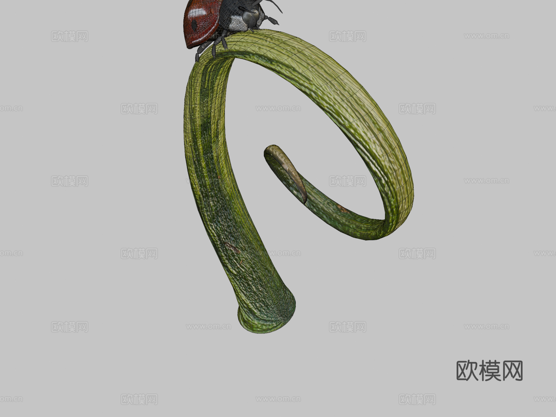 瓢虫3d模型
