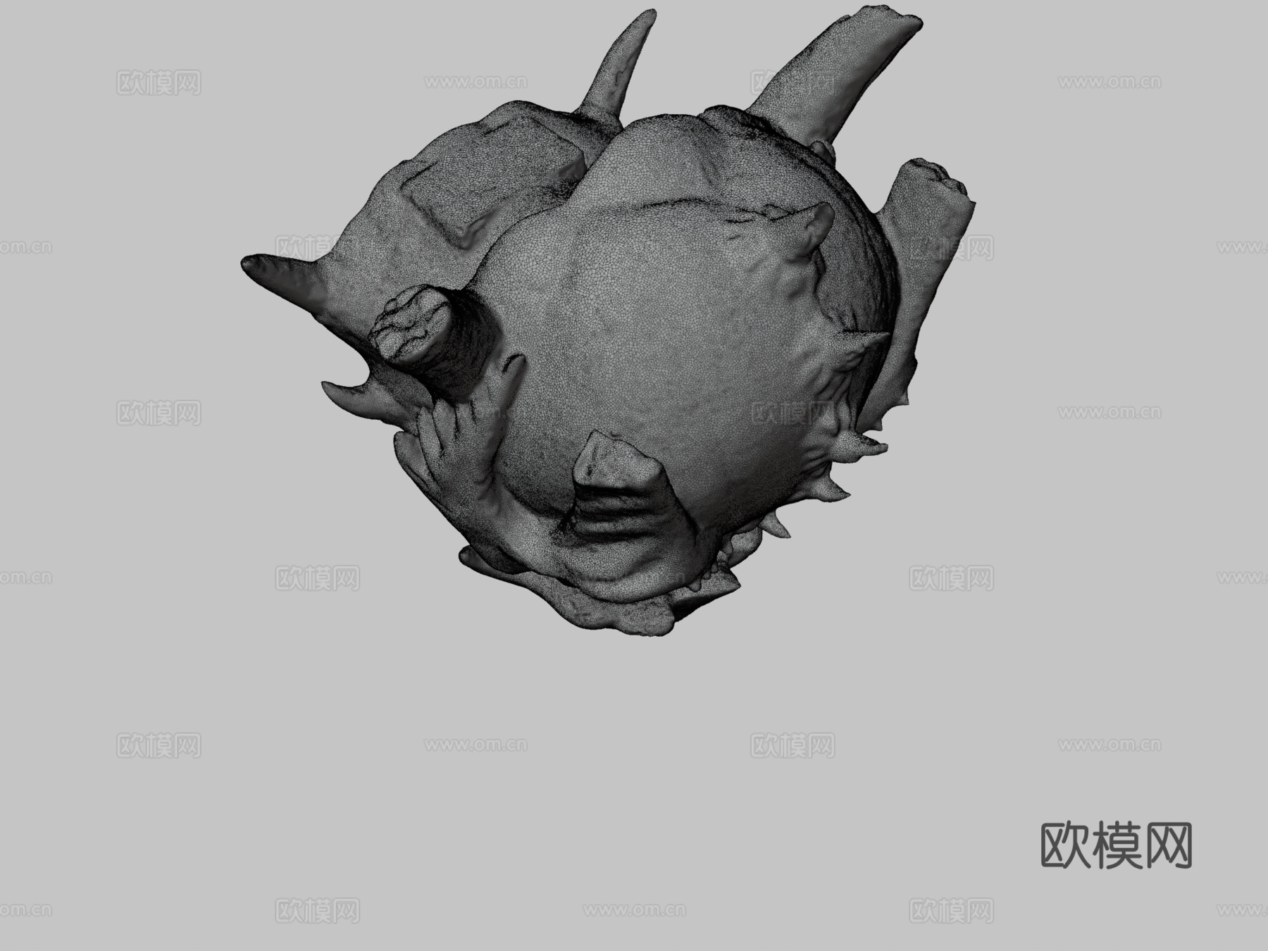 龙颅骨高分辨率3d模型