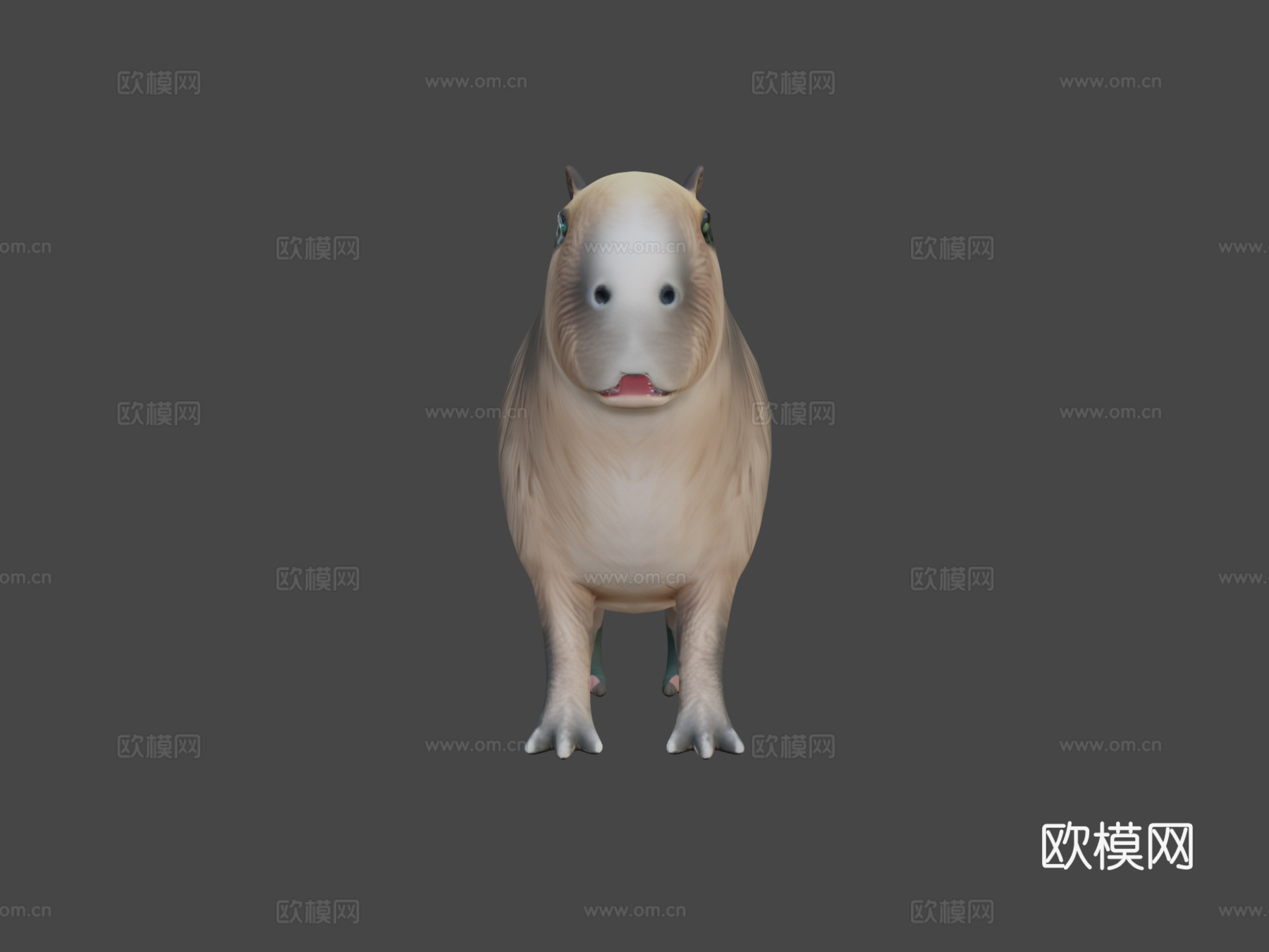 水豚3d模型下载（渲染图6）