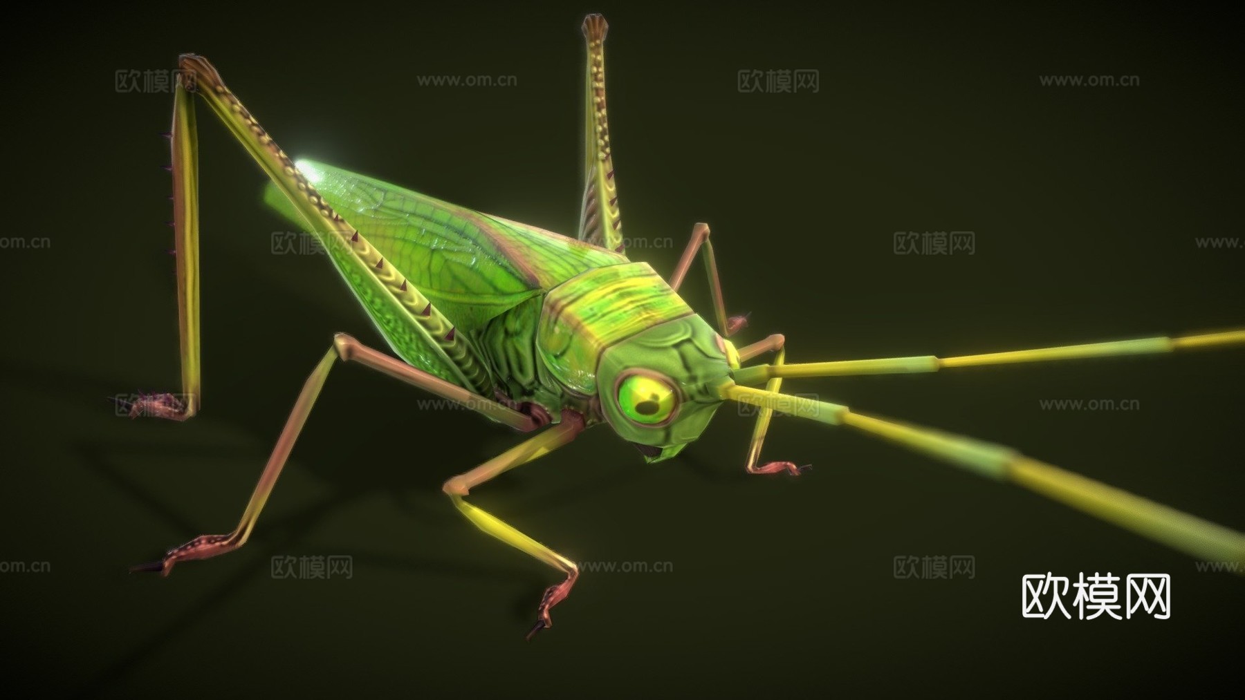 蚱蜢动物低模3d模型下载（渲染图1）