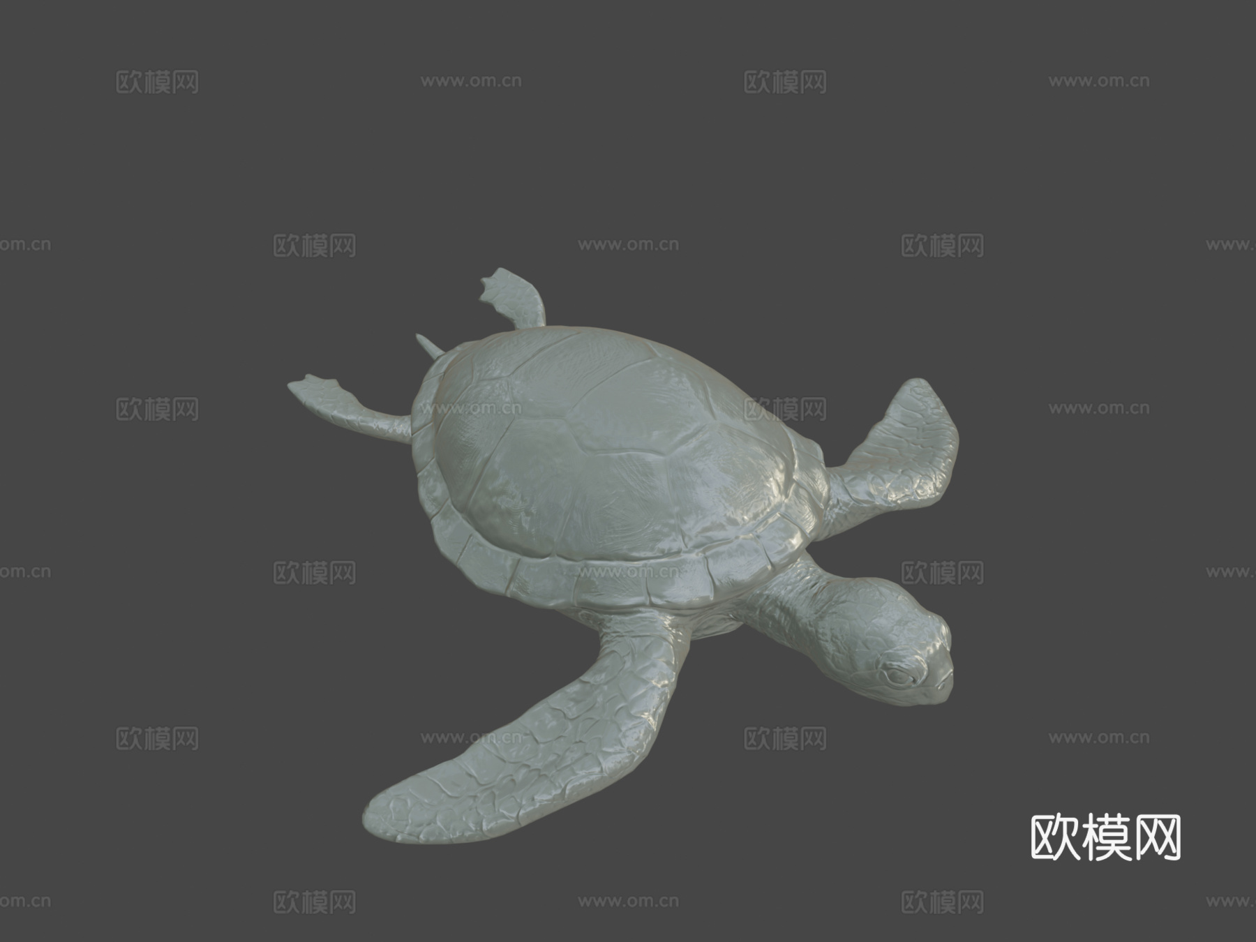 海龟3d模型下载（渲染图7）