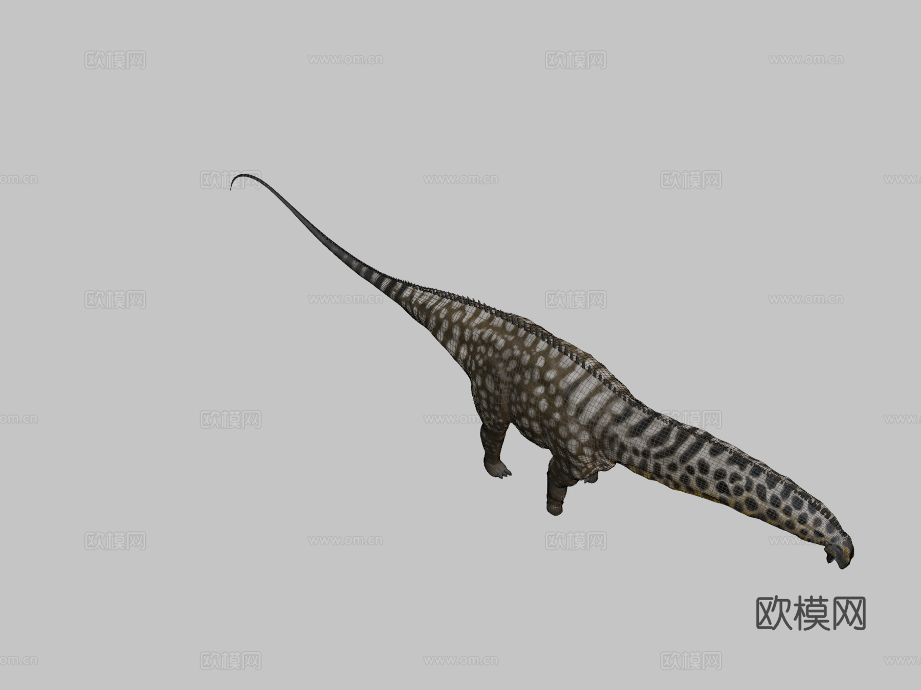 秀丽雷龙3d模型