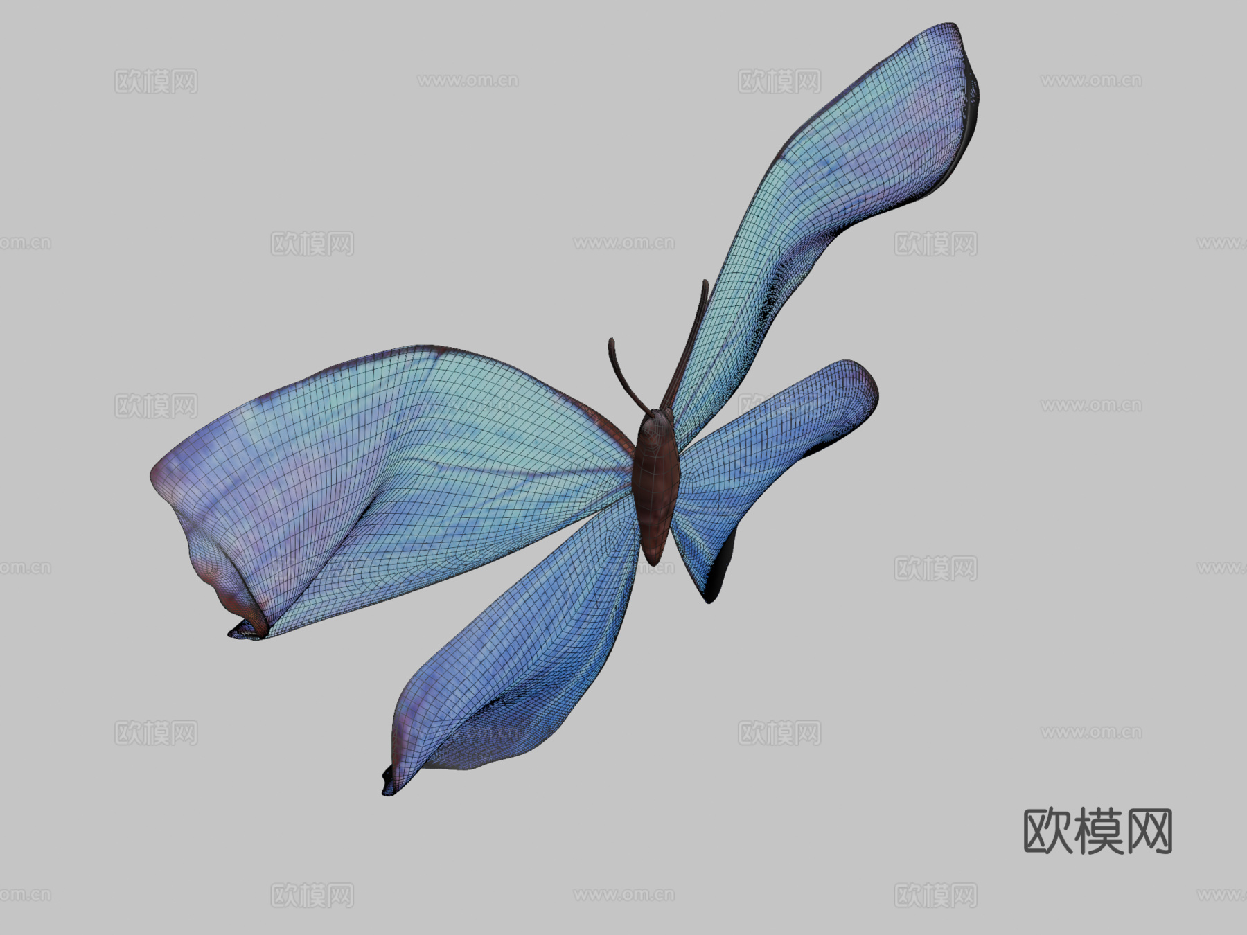 蝴蝶3d模型下载（渲染图2）