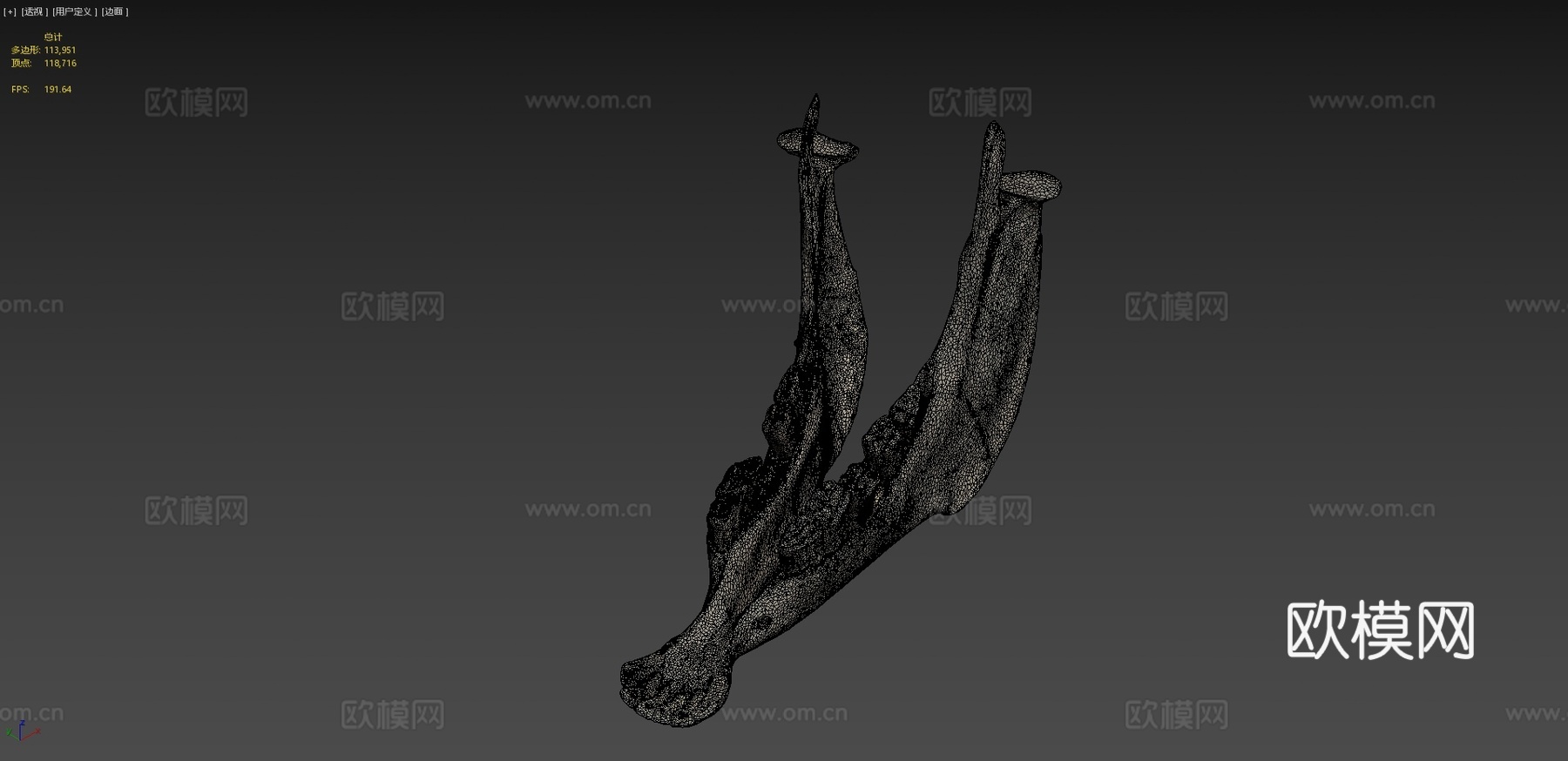 下颌骨驴3d模型下载（渲染图4）