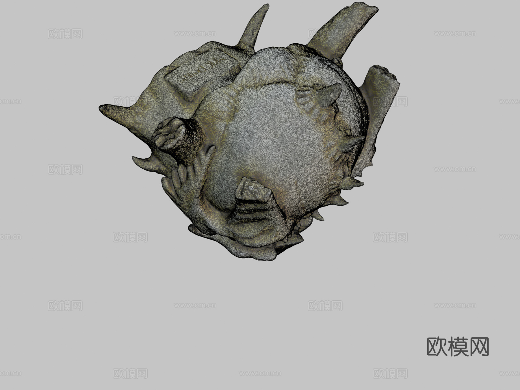 龙颅骨高分辨率3d模型