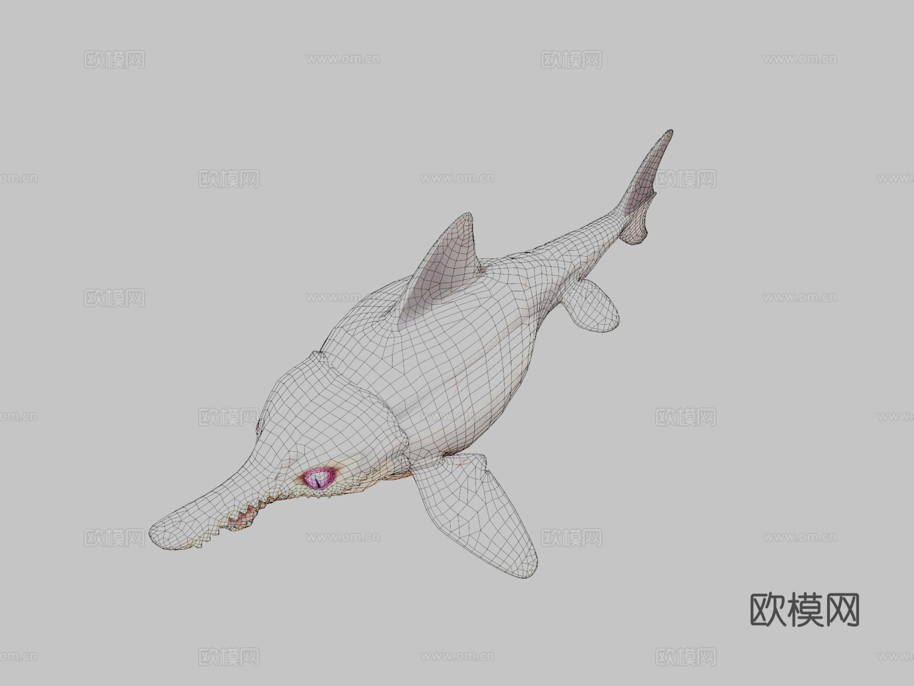 海豚鱼龙回声3d模型3d模型下载（渲染图2）