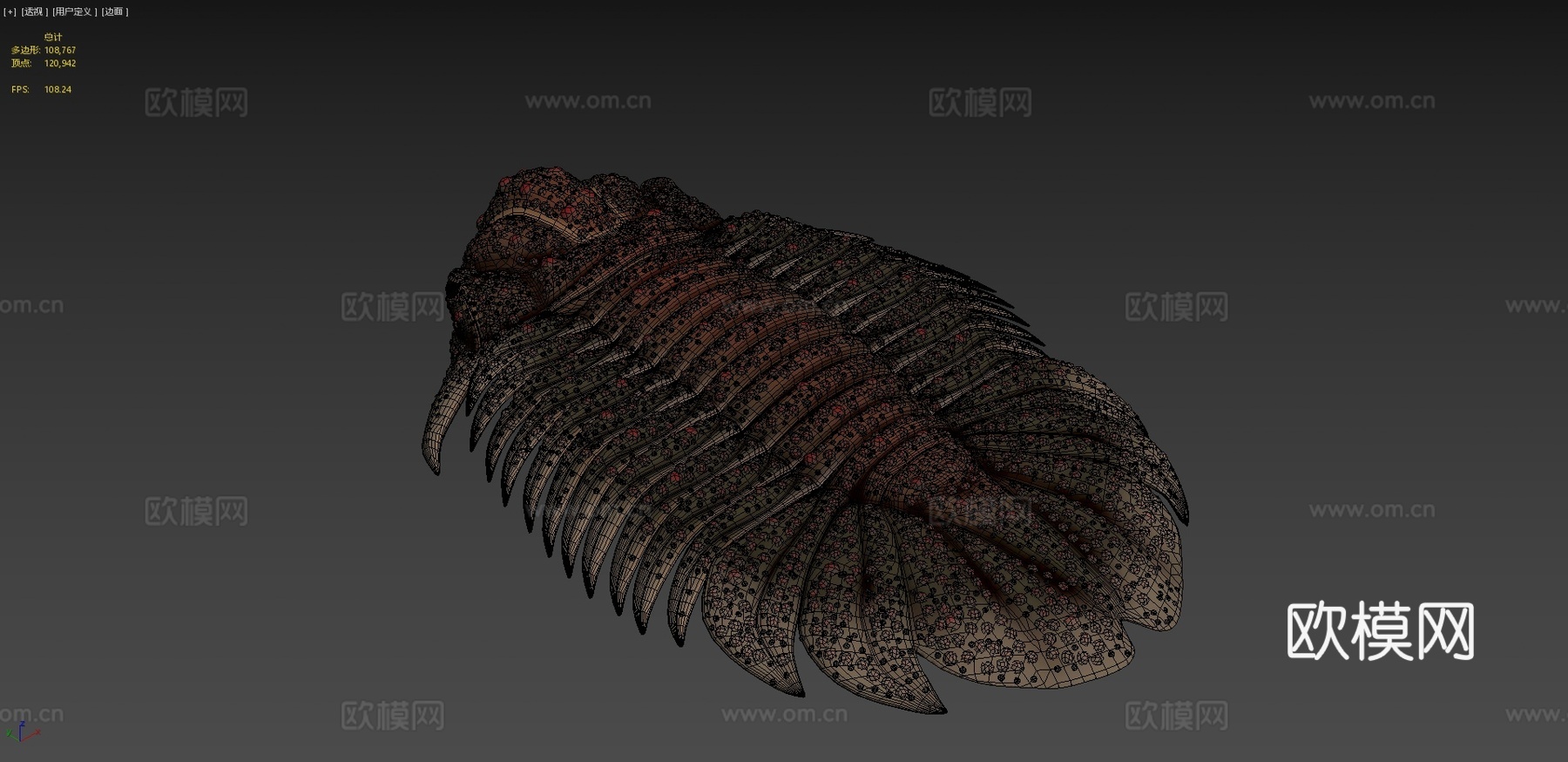 三叶虫近亲糙皮网冠虫3d模型下载（渲染图4）