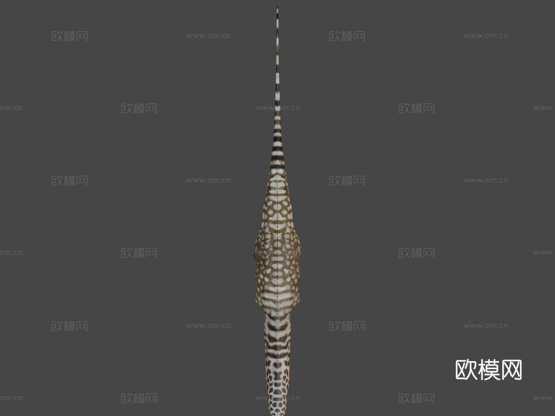 秀丽雷龙3d模型