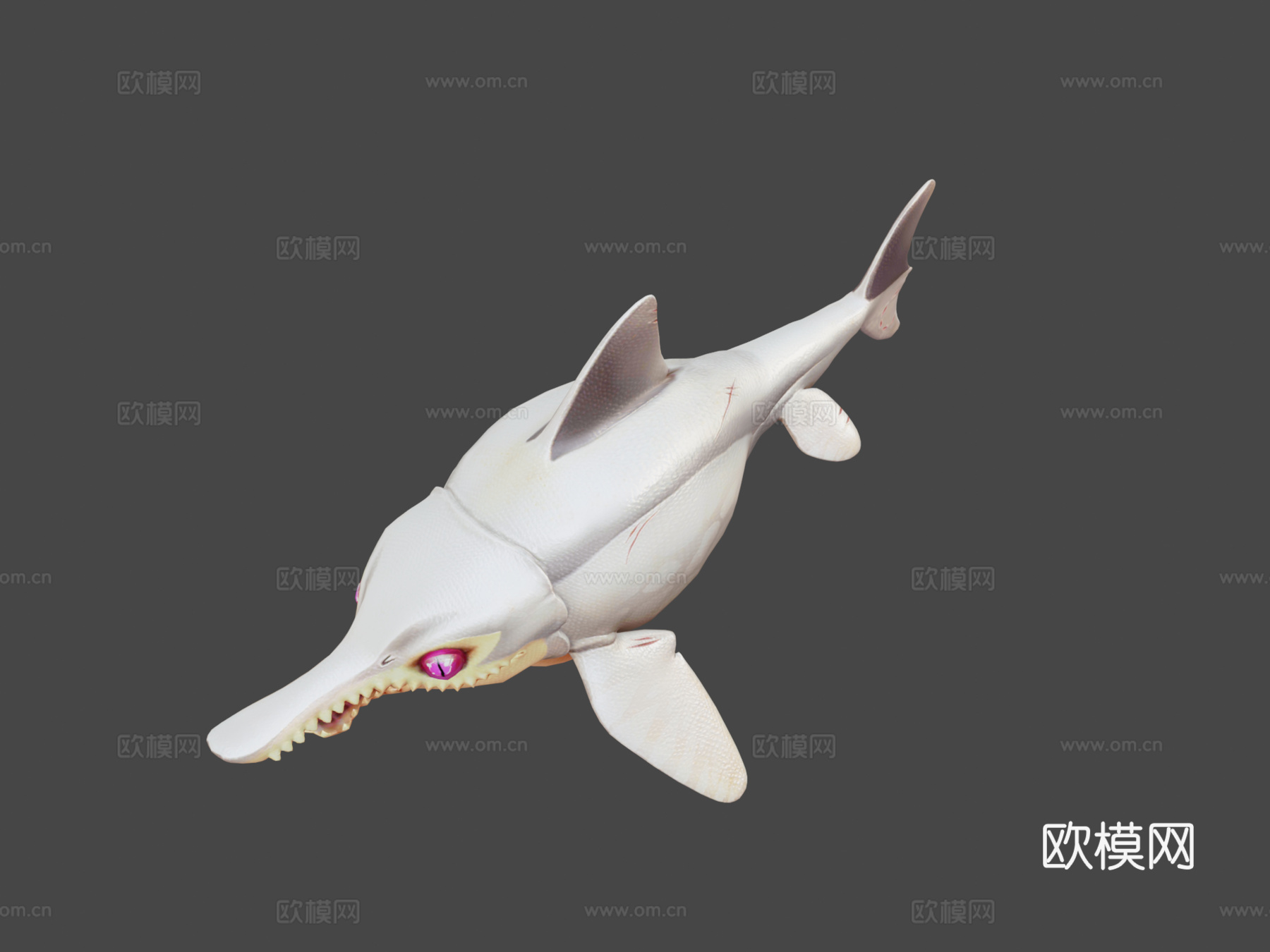 海豚鱼龙回声3d模型3d模型下载（渲染图5）