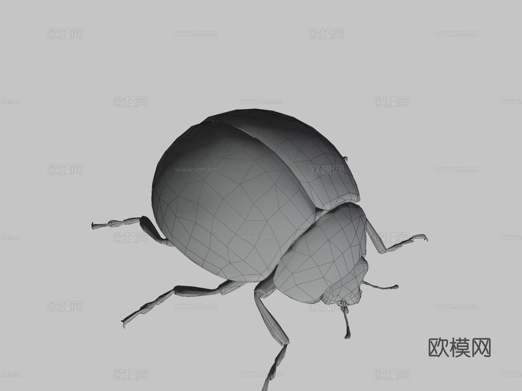 瓢虫低模3d模型下载（渲染图3）