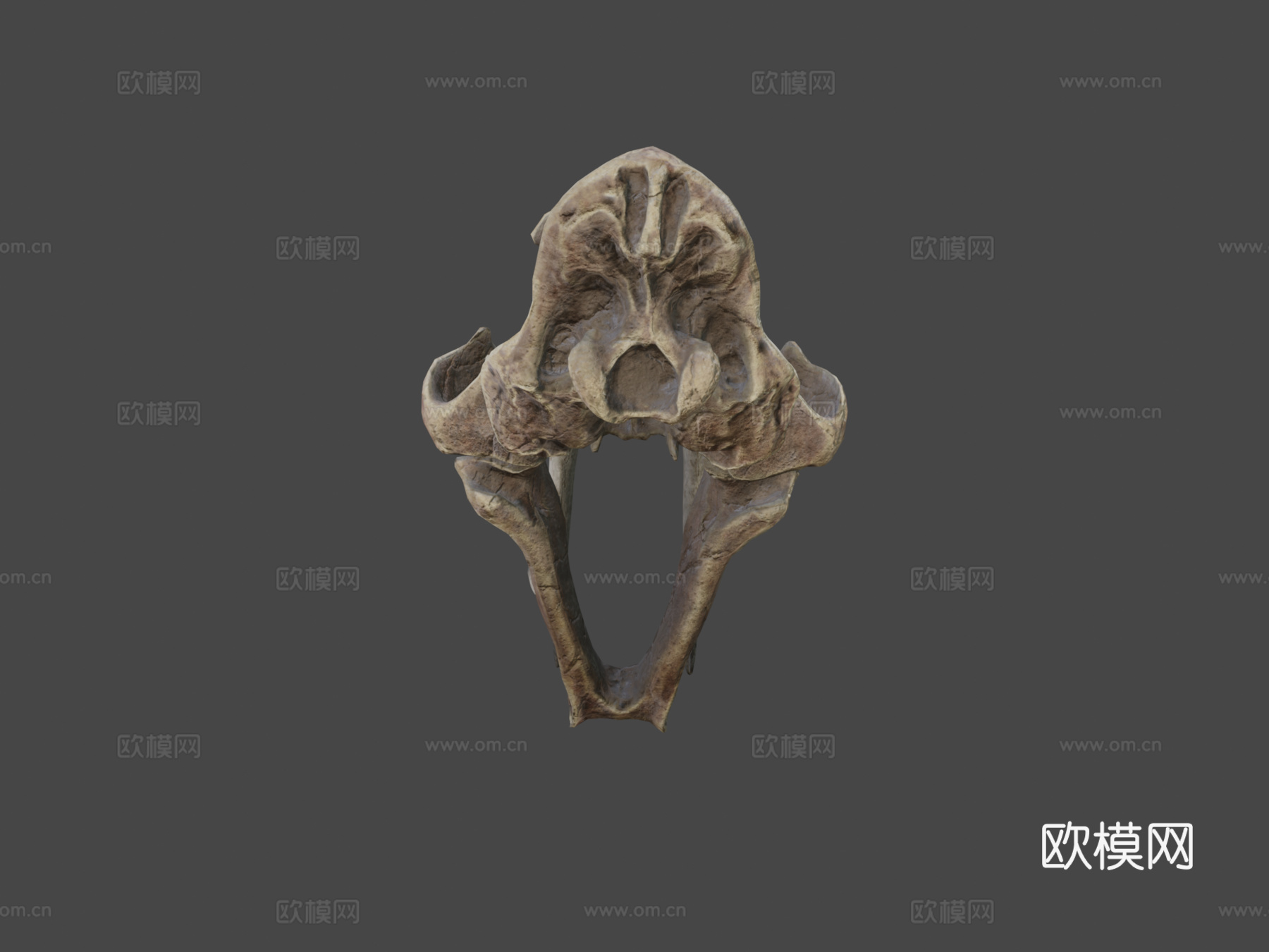 剑齿虎3d模型下载（渲染图7）