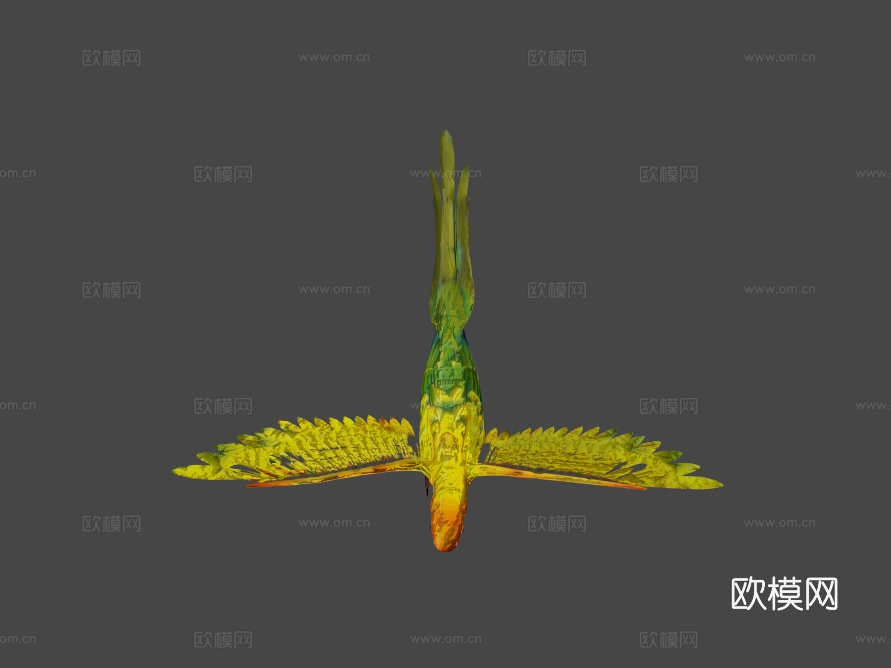 太阳锥尾鹦鹉低多边形3d模型下载（渲染图6）