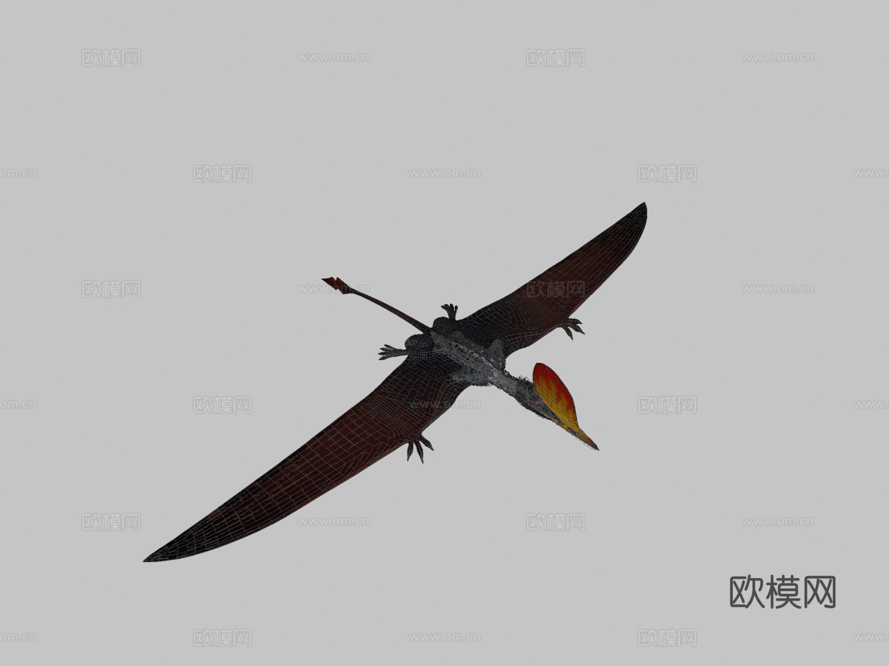 达尔文翼龙3d模型下载（渲染图2）