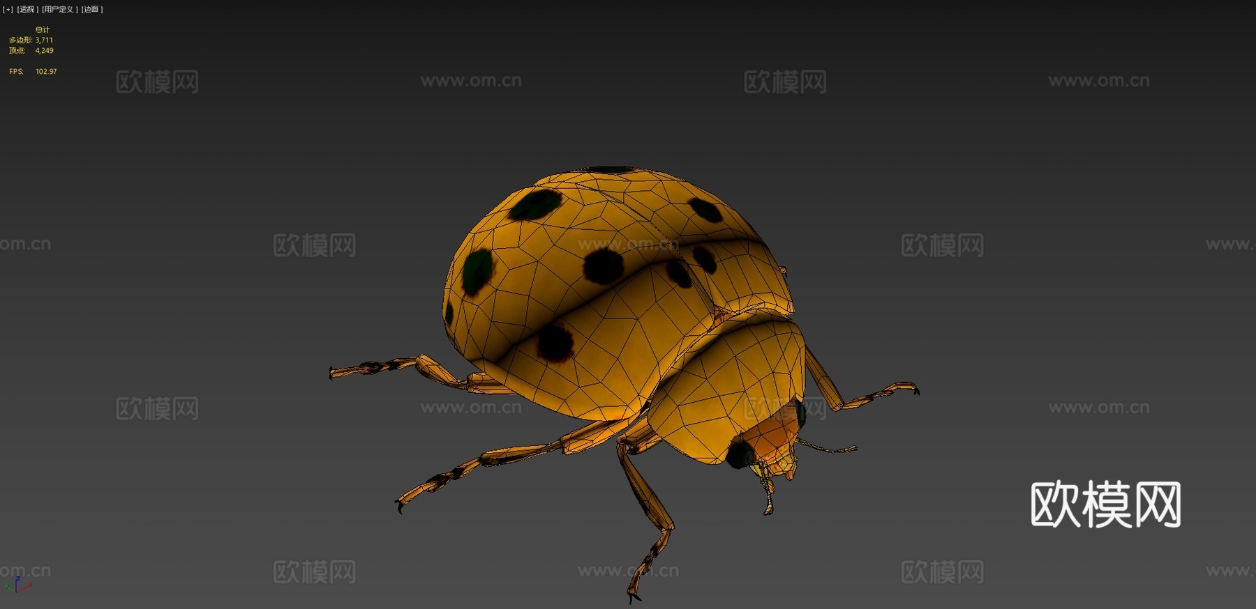 瓢虫低模3d模型下载（渲染图4）