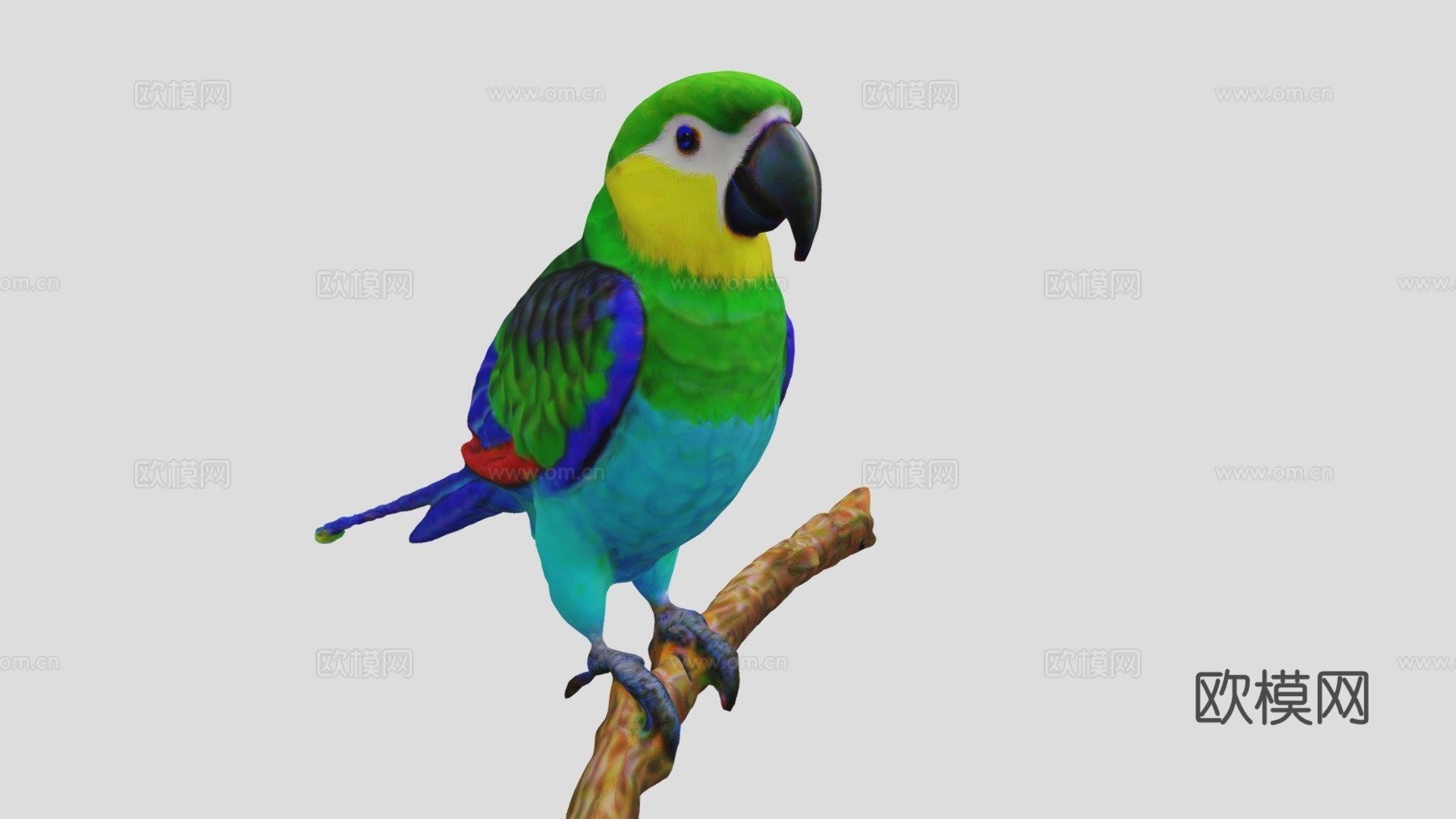 鹦鹉3d模型下载（渲染图1）
