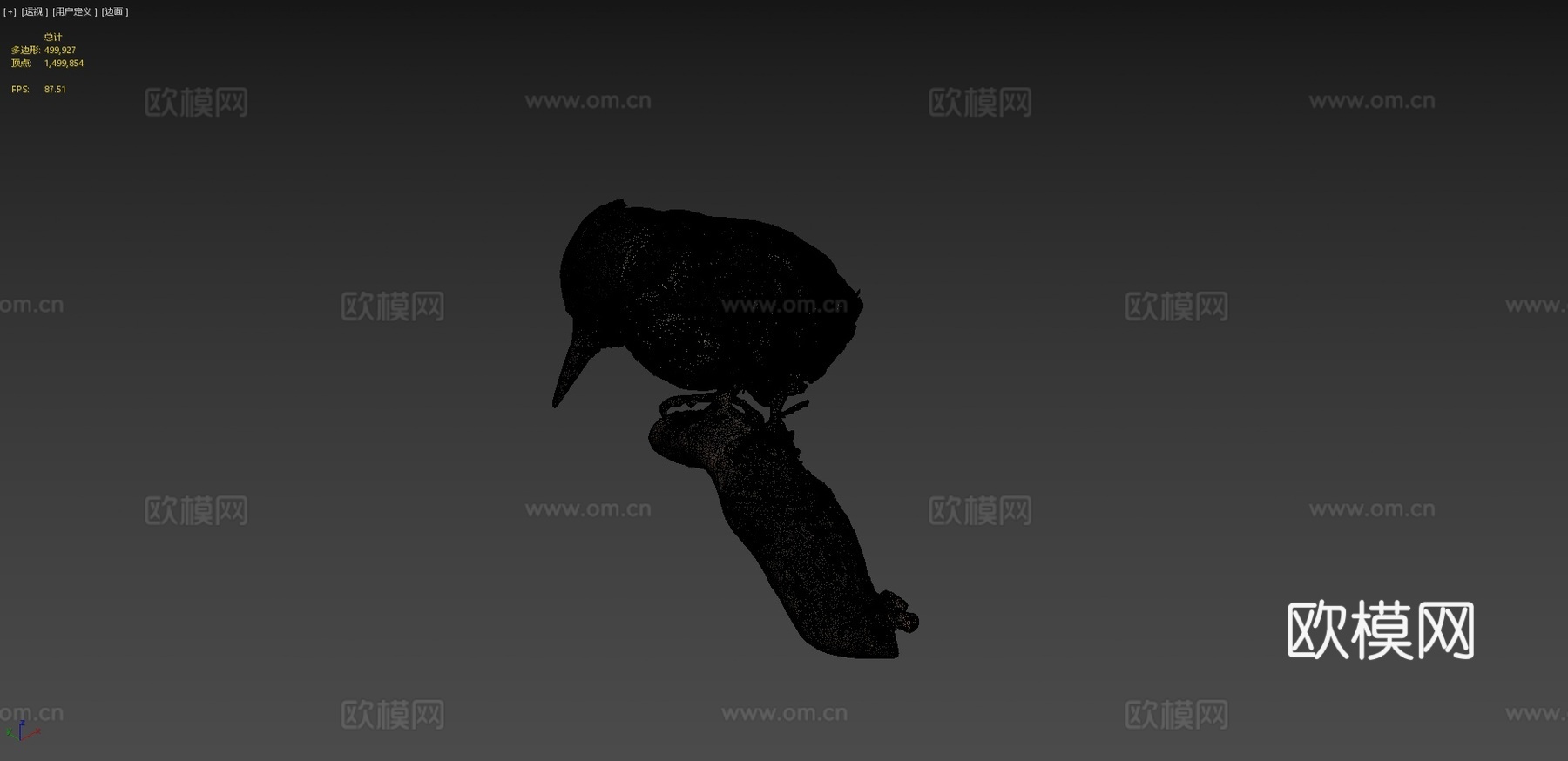 毛啄木鸟3d模型