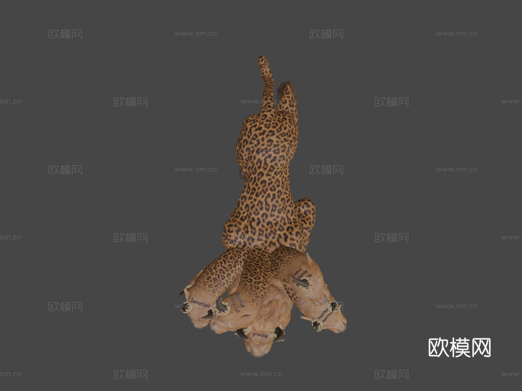 启示录13七头奇美拉3d模型下载（渲染图6）