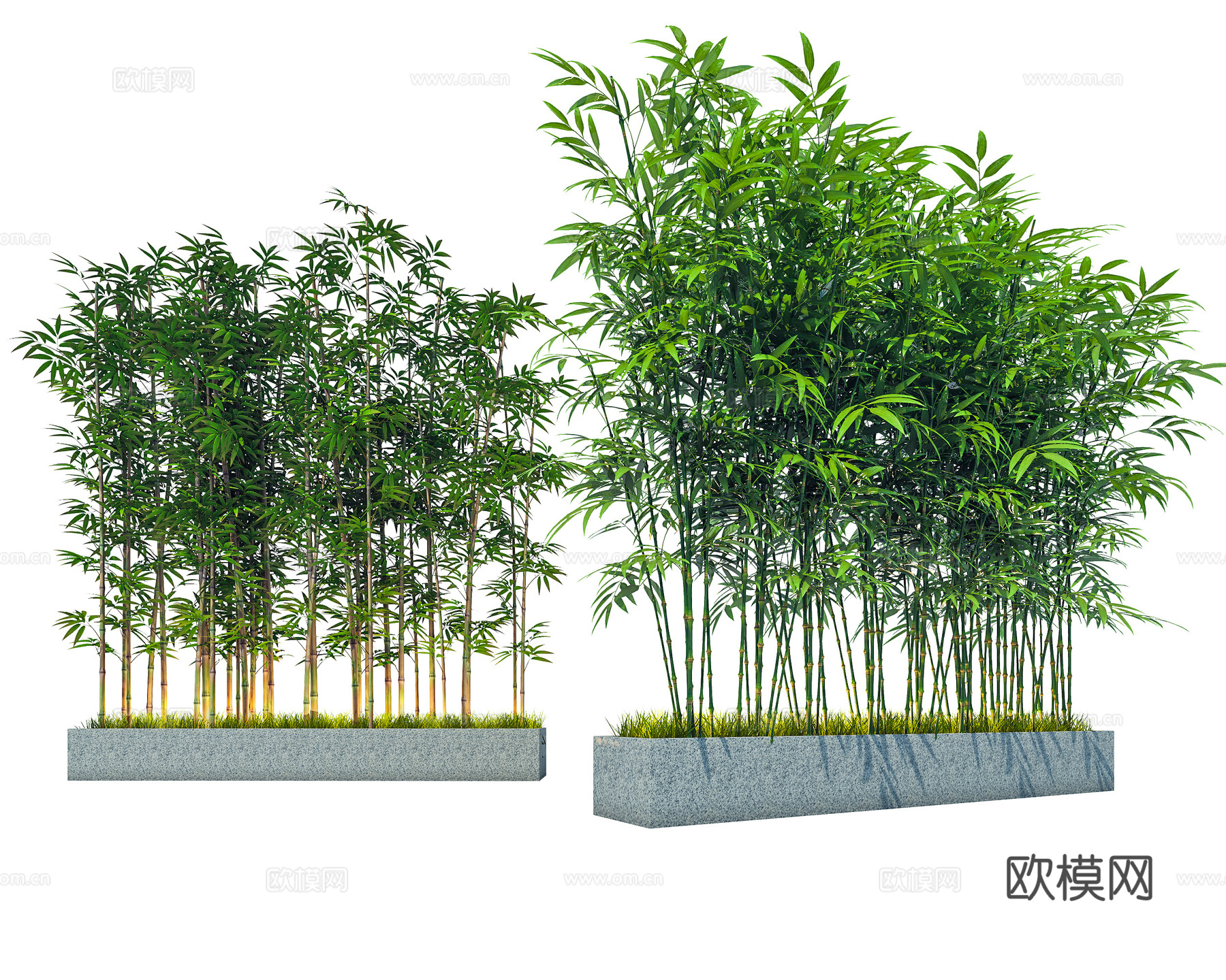 现代竹子 景观竹子 仿真竹子 园艺竹子su模型