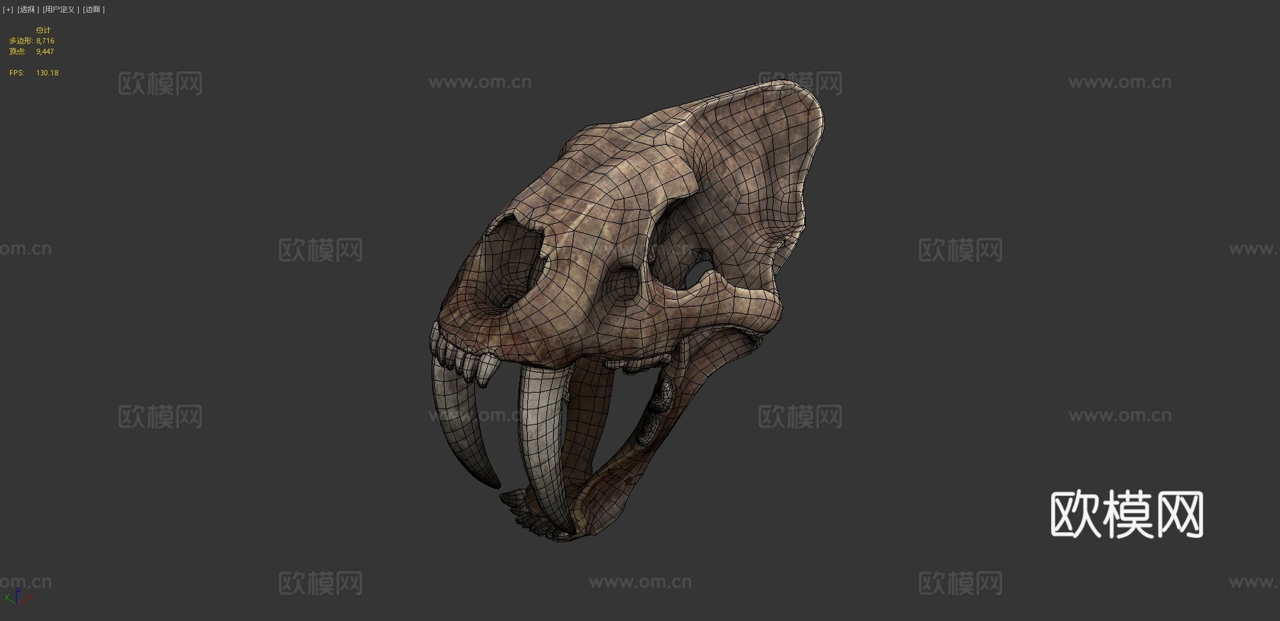 剑齿虎3d模型下载（渲染图4）