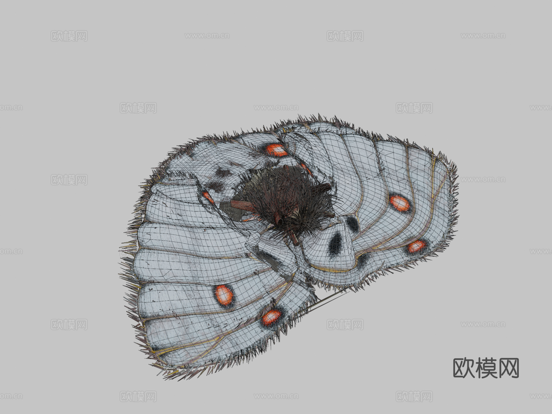 蝴蝶绑定动画PBR N2903d模型下载（渲染图2）