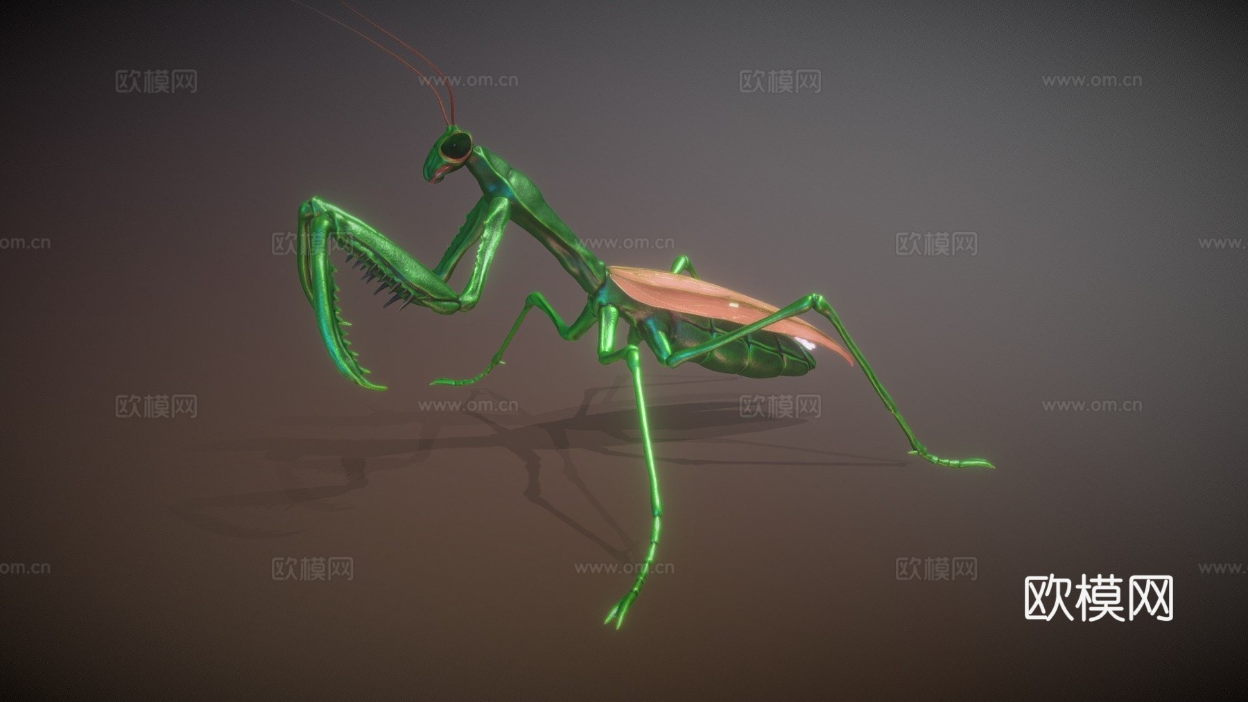 螳螂3d模型下载（渲染图1）
