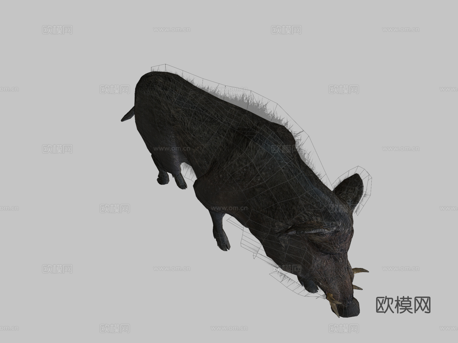 野猪3d模型下载（渲染图2）