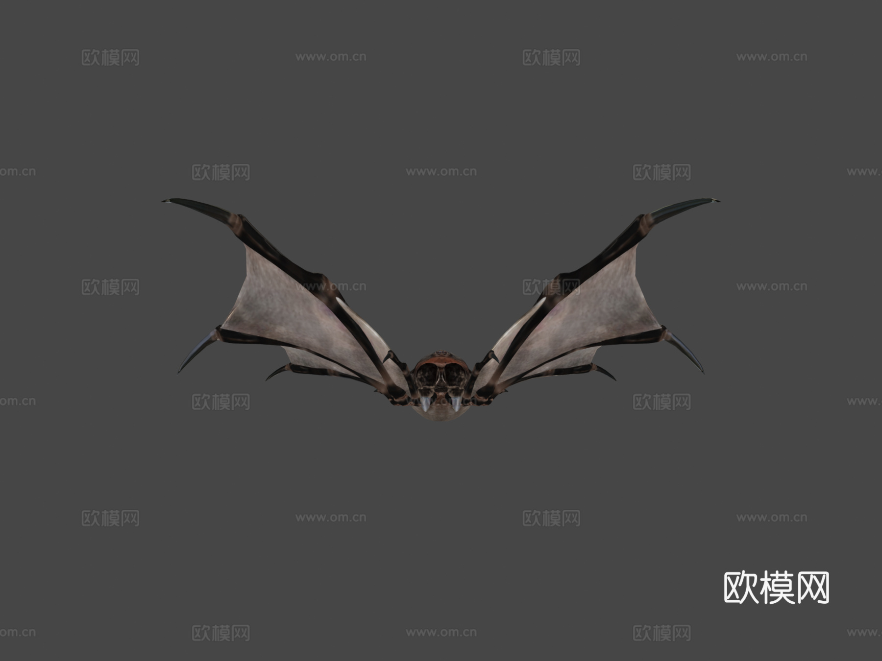 飞行狒狒3d模型下载（渲染图8）