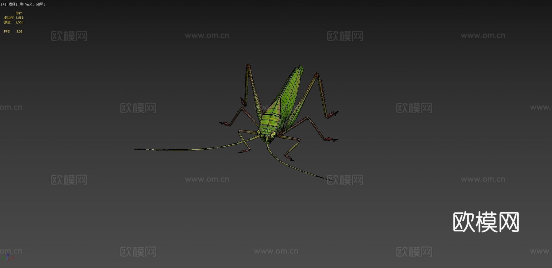 蚱蜢动物低模3d模型下载（渲染图4）