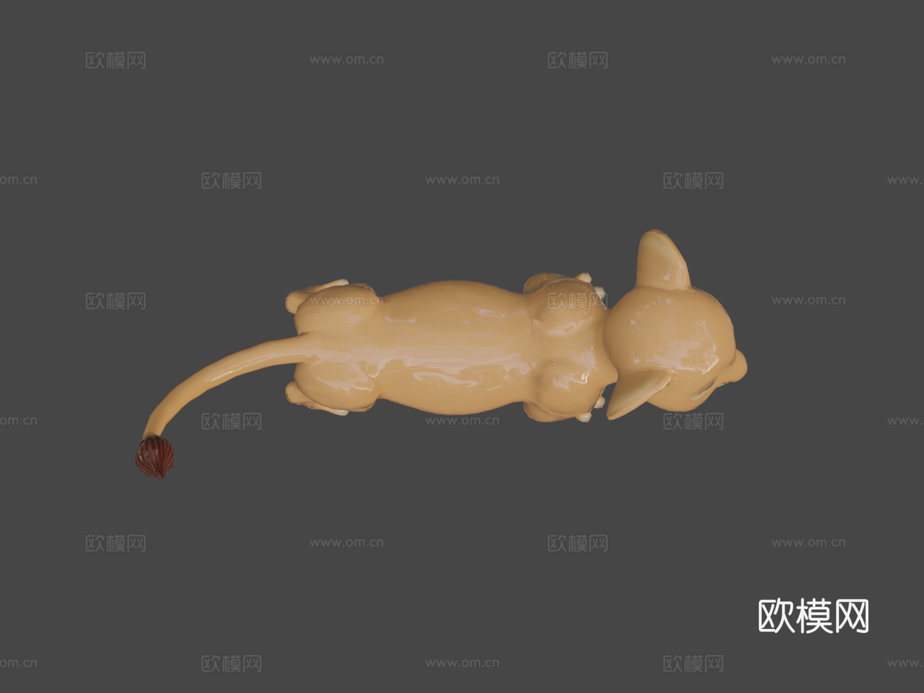 幼狮琪拉3d模型下载（渲染图5）