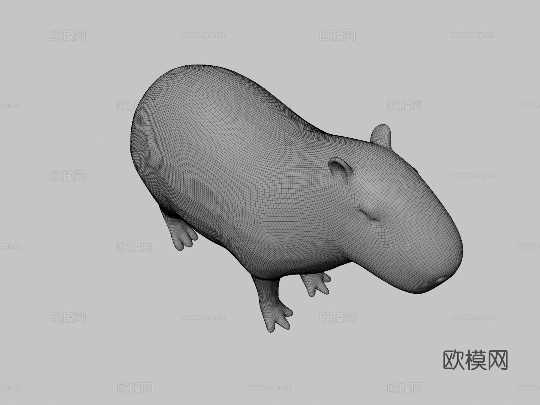 水豚3d模型下载（渲染图3）