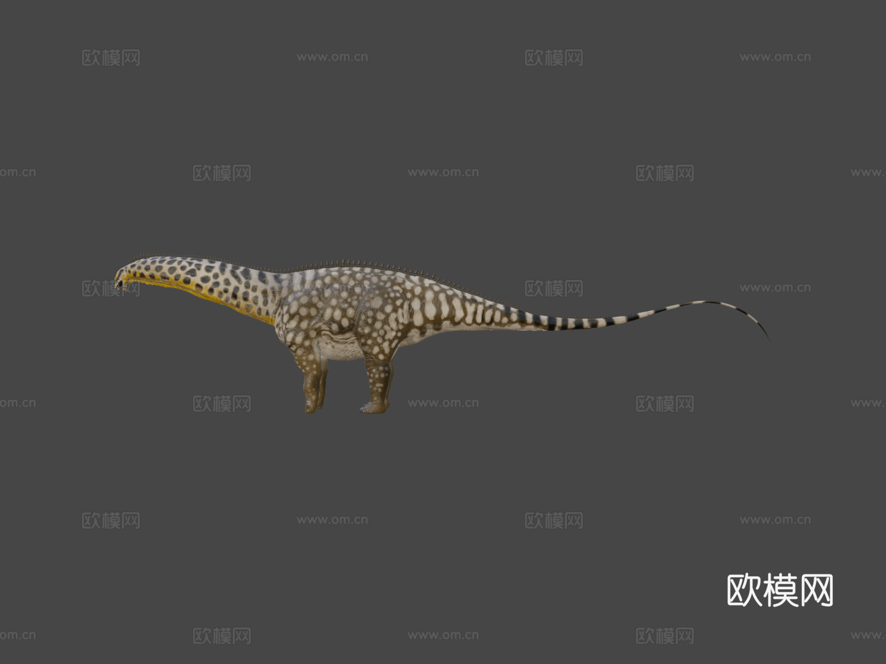 秀丽雷龙3d模型