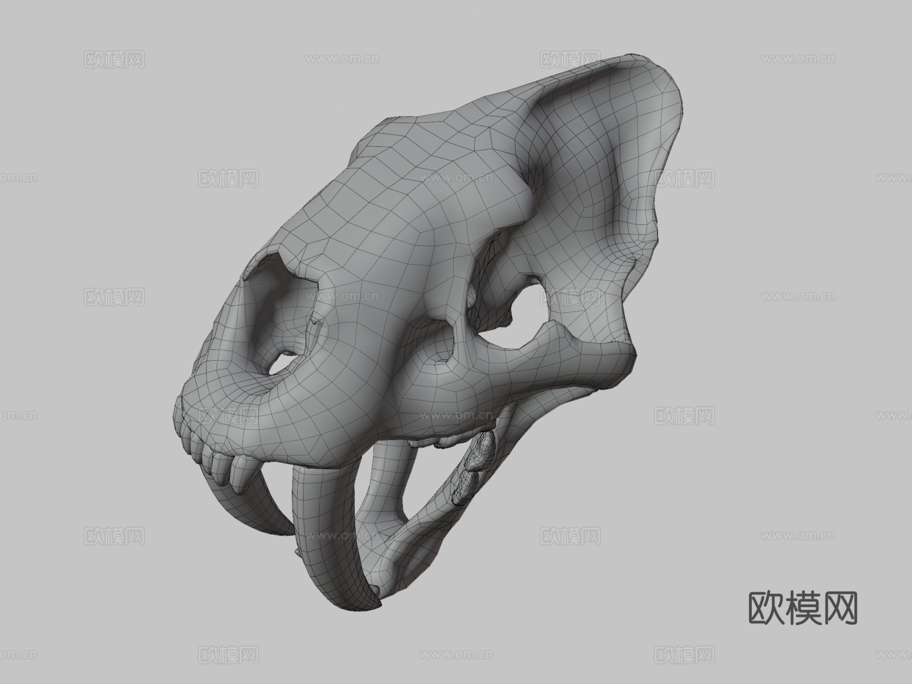 剑齿虎3d模型下载（渲染图3）