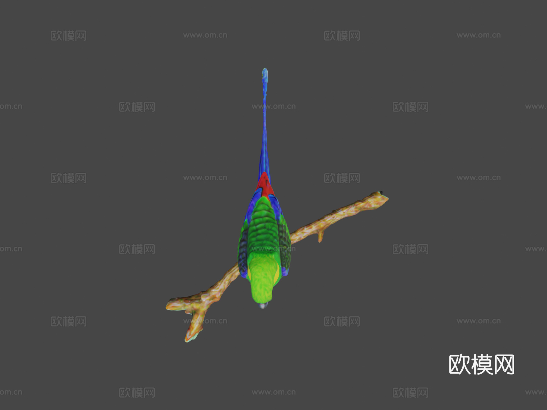 鹦鹉3d模型下载（渲染图6）