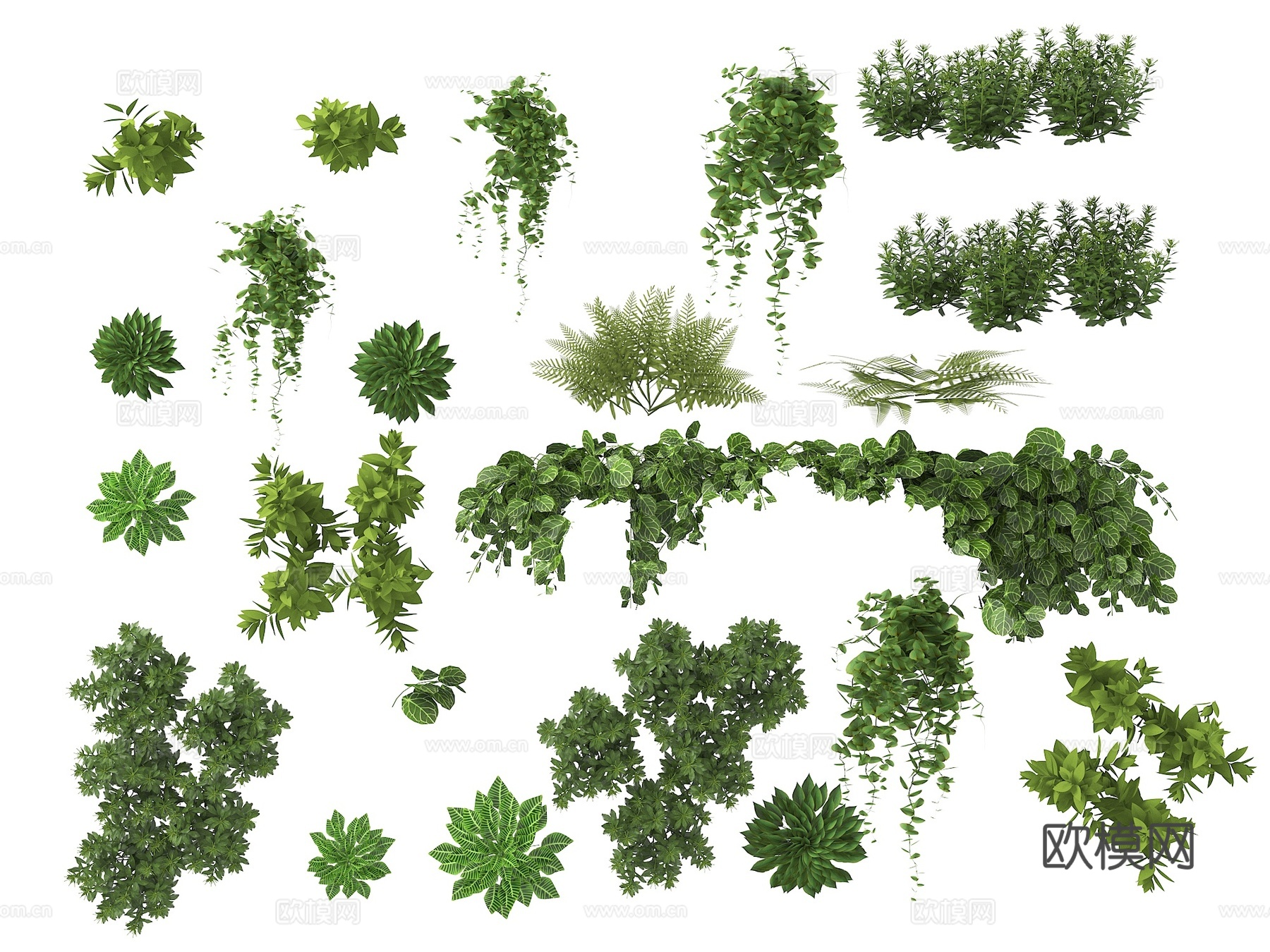 植物 垂挂植物 绿植 室内植物 植物墙 热带植物su模型