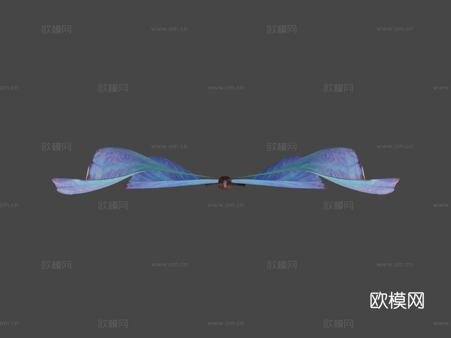 蝴蝶3d模型下载（渲染图8）