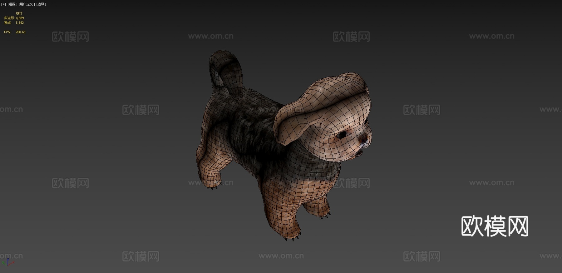 西施犬品种低多边形3d模型