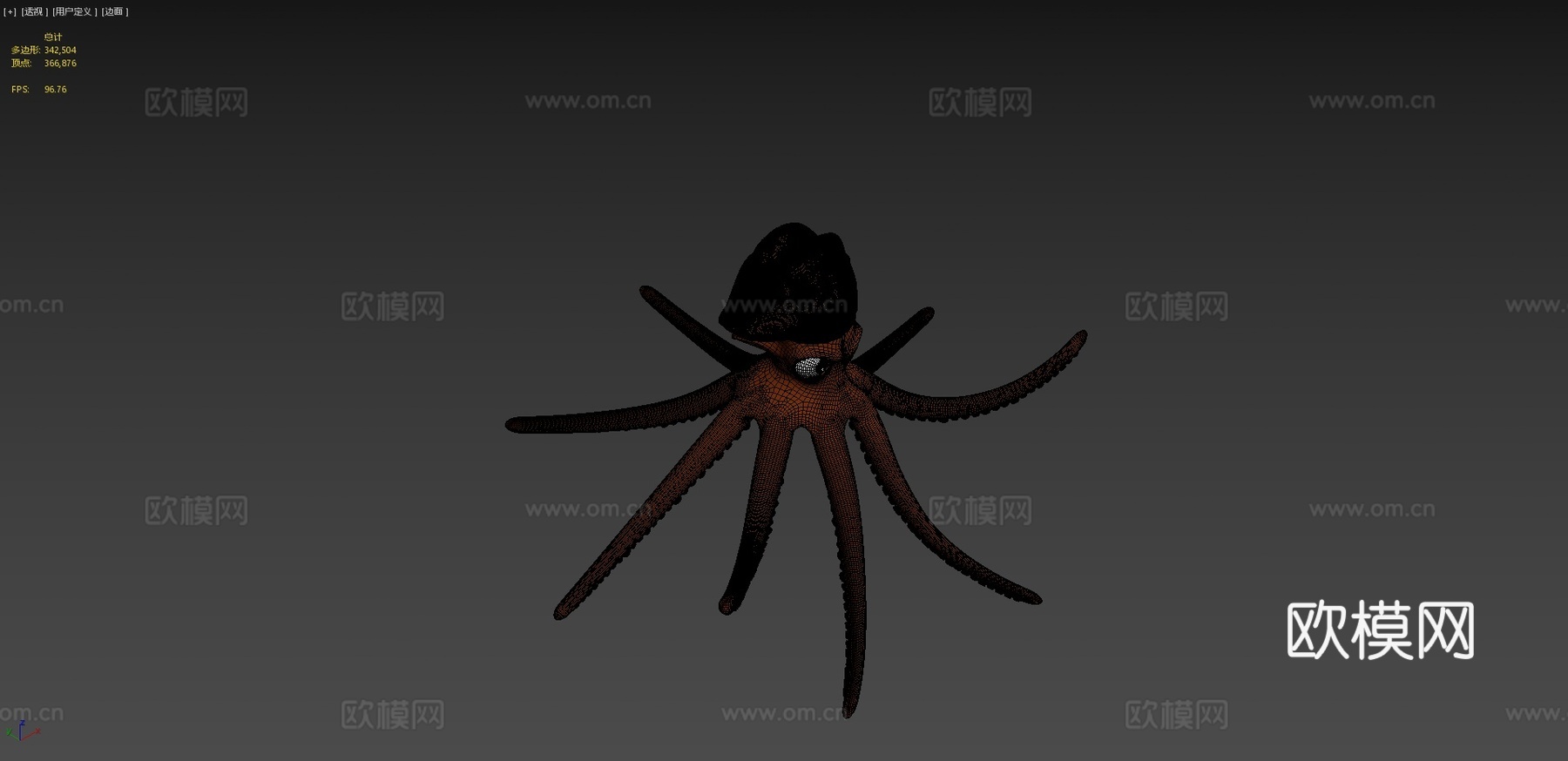 章鱼船长3d模型