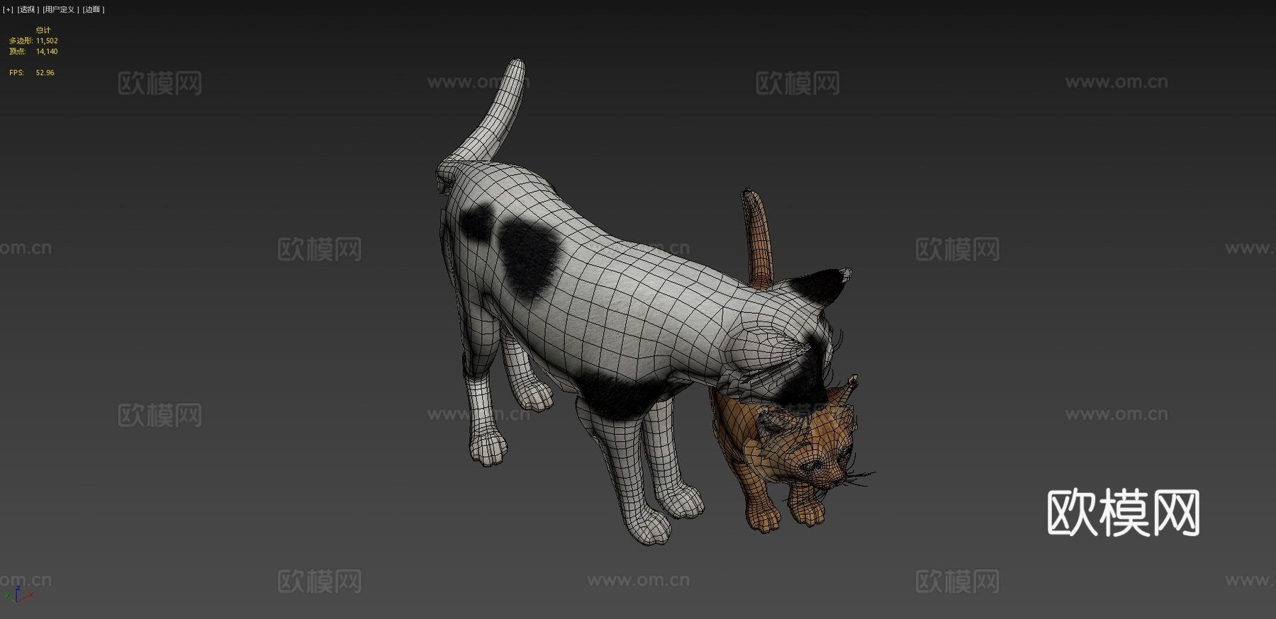 猫科家族3d模型下载（渲染图4）