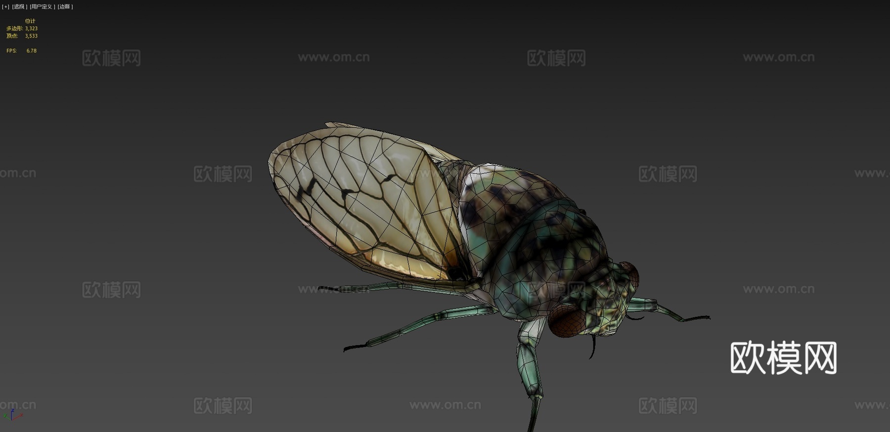 斑颈蝉3d模型下载（渲染图4）