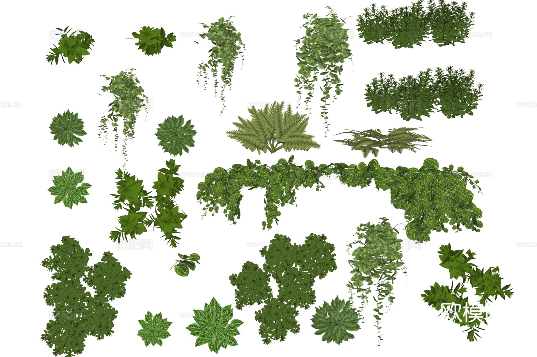 植物 垂挂植物 绿植 室内植物 植物墙 热带植物su模型