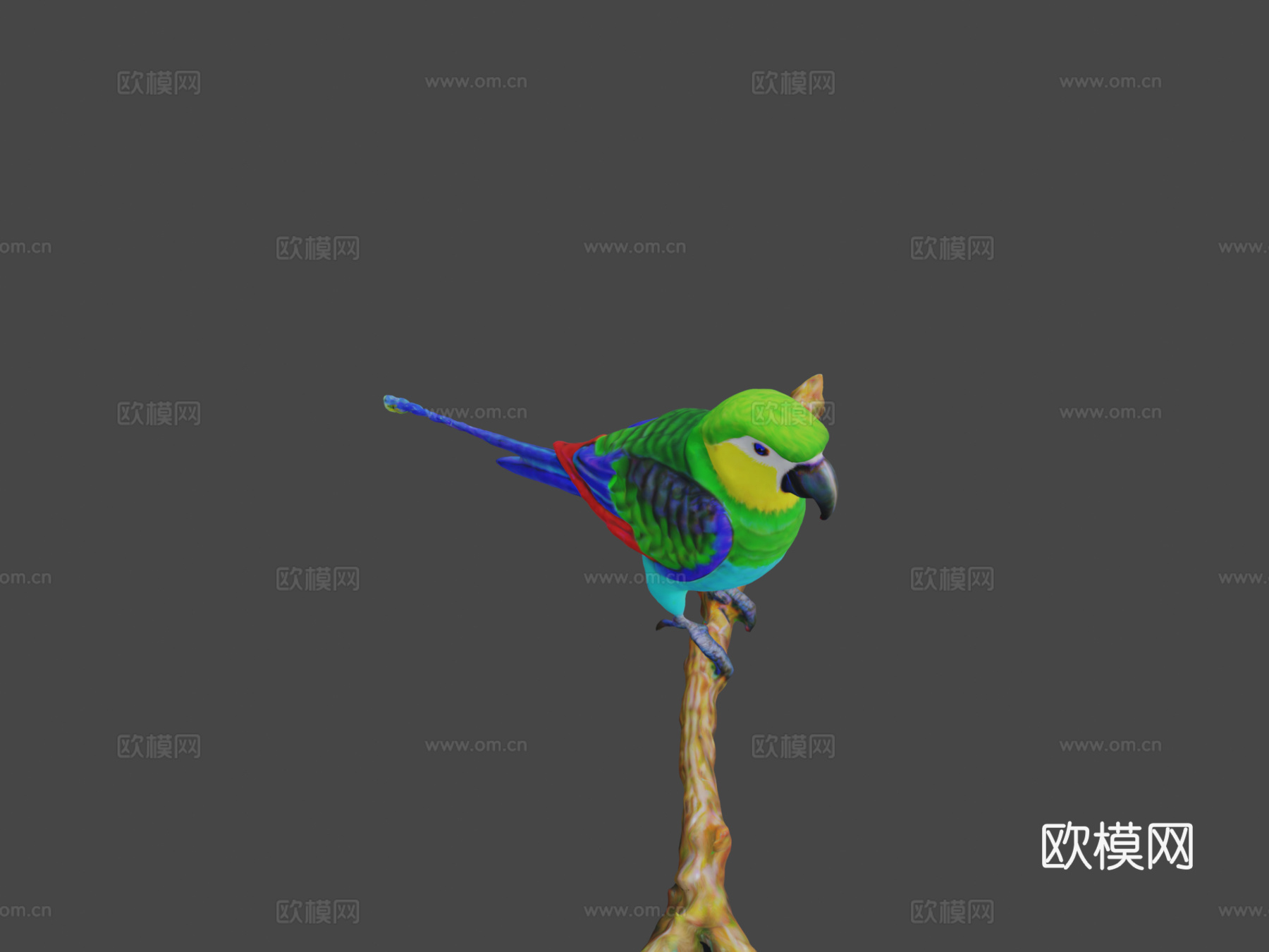 鹦鹉3d模型下载（渲染图5）